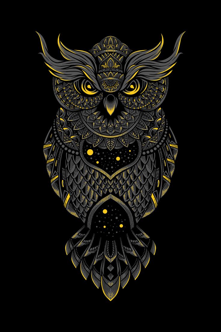 Owl Phone Wallpapers