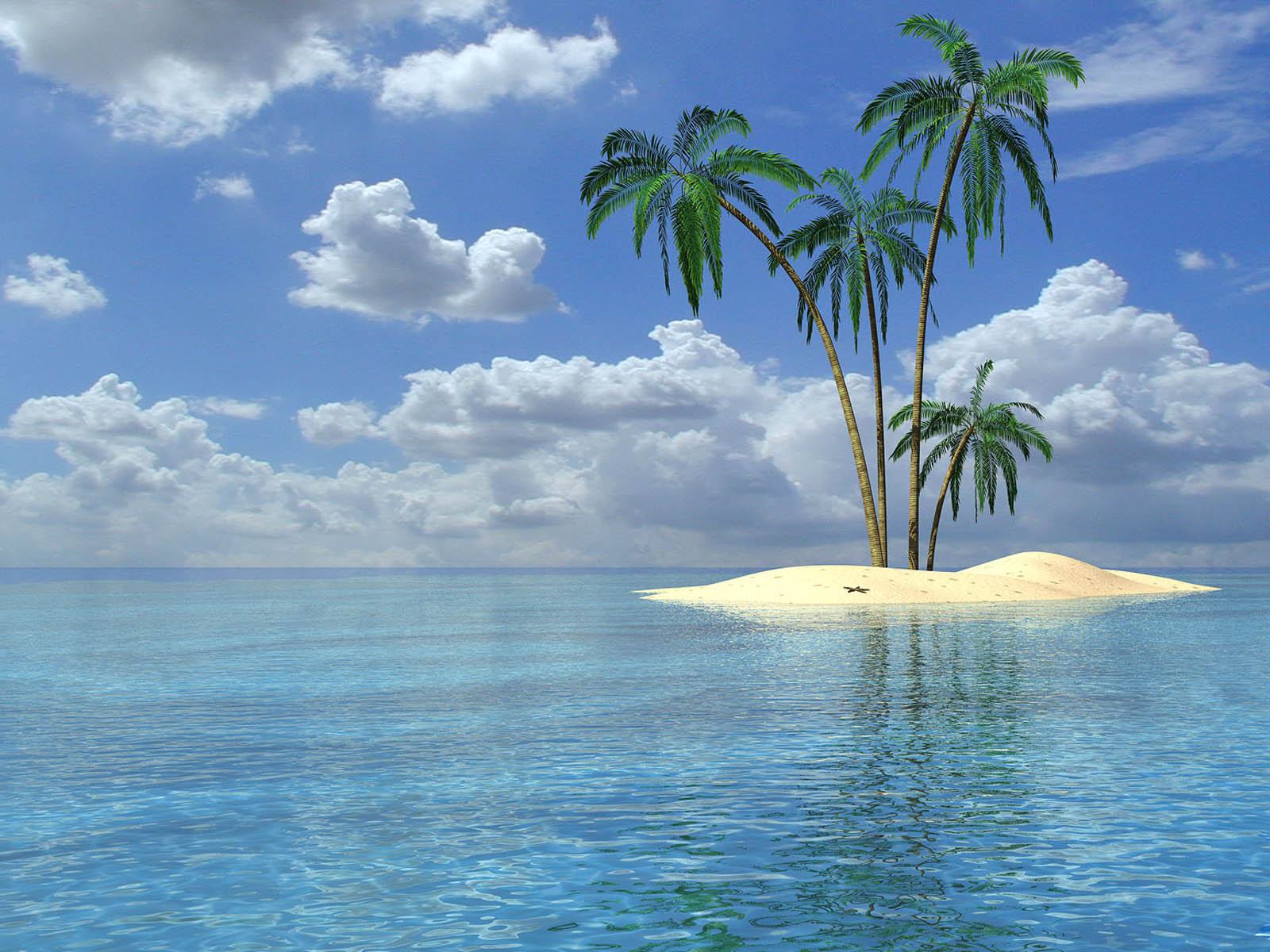 Palm Tree Screensaver Wallpapers