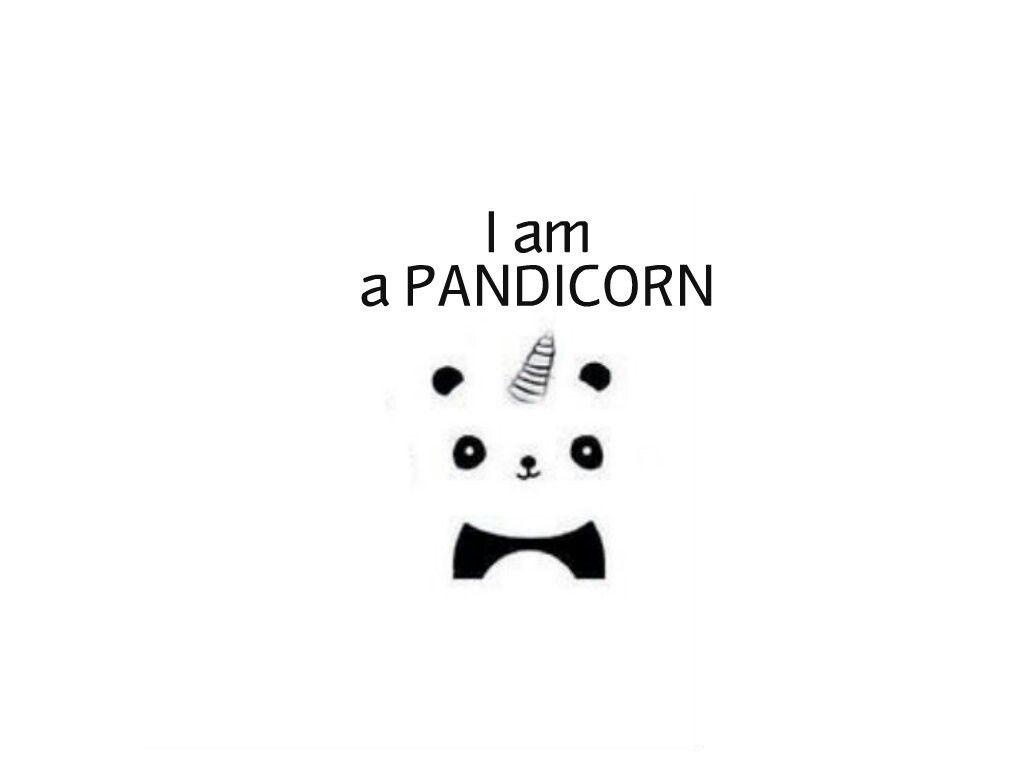 Pandacorn Wallpapers