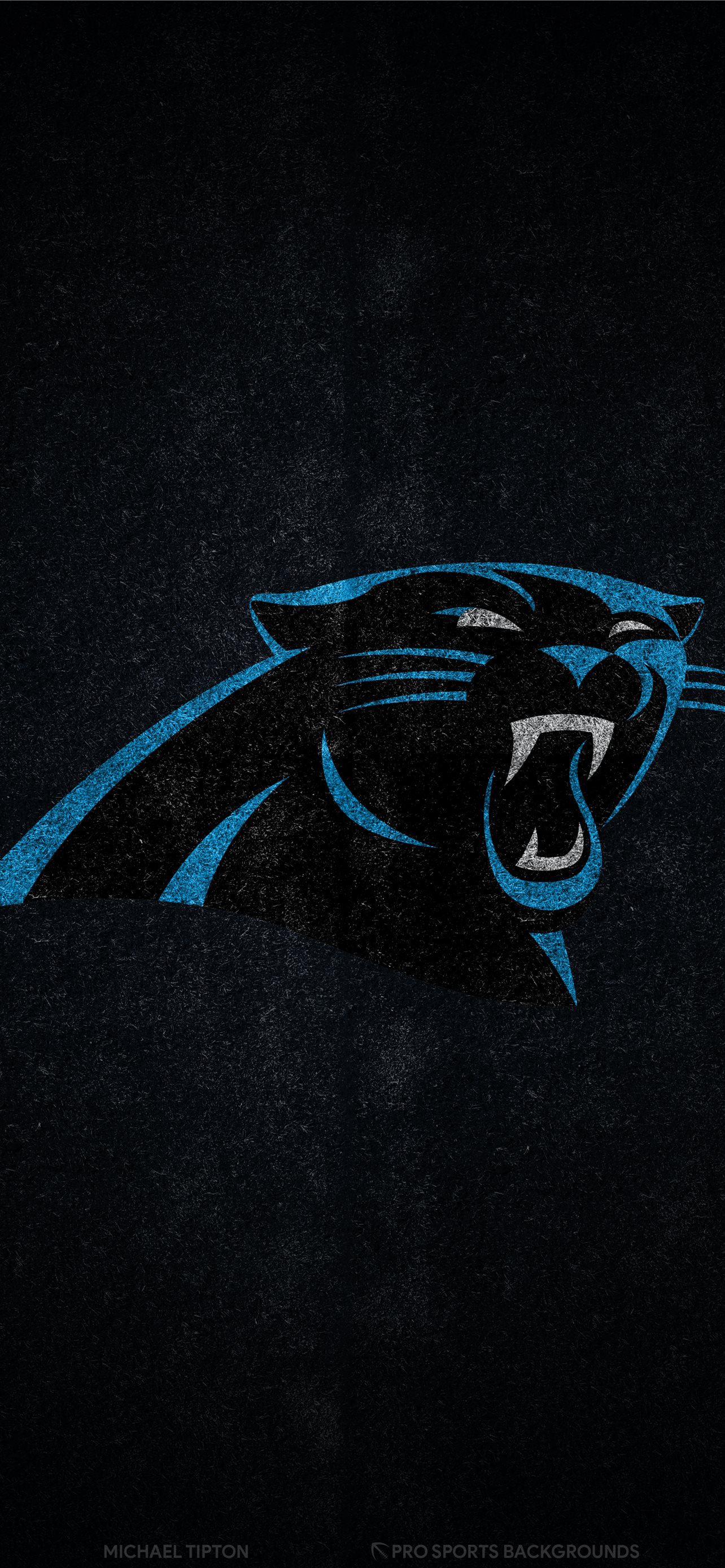 Panther Iphone Wallpapers