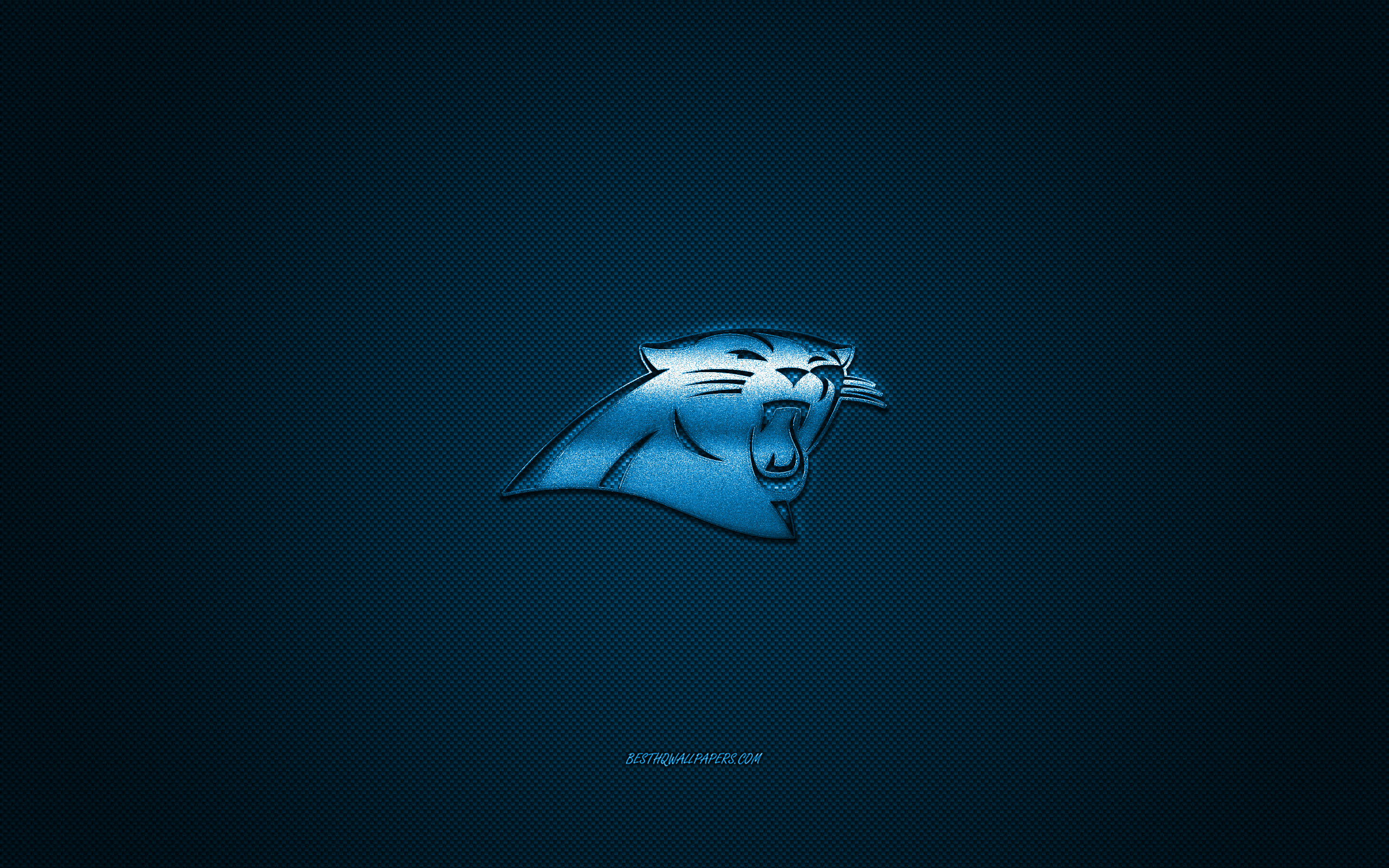 Panthers Logo Wallpapers