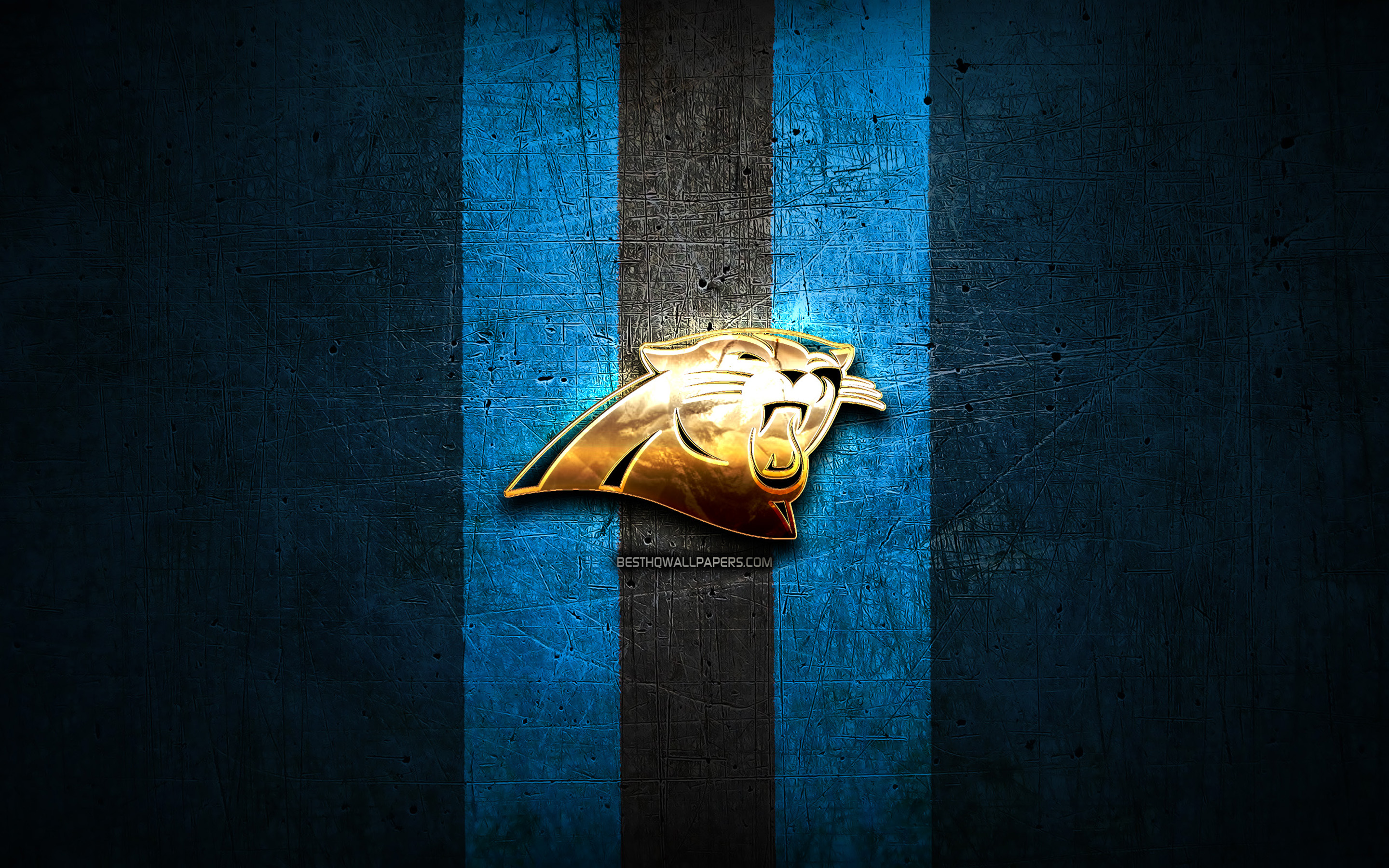 Panthers Logo Wallpapers