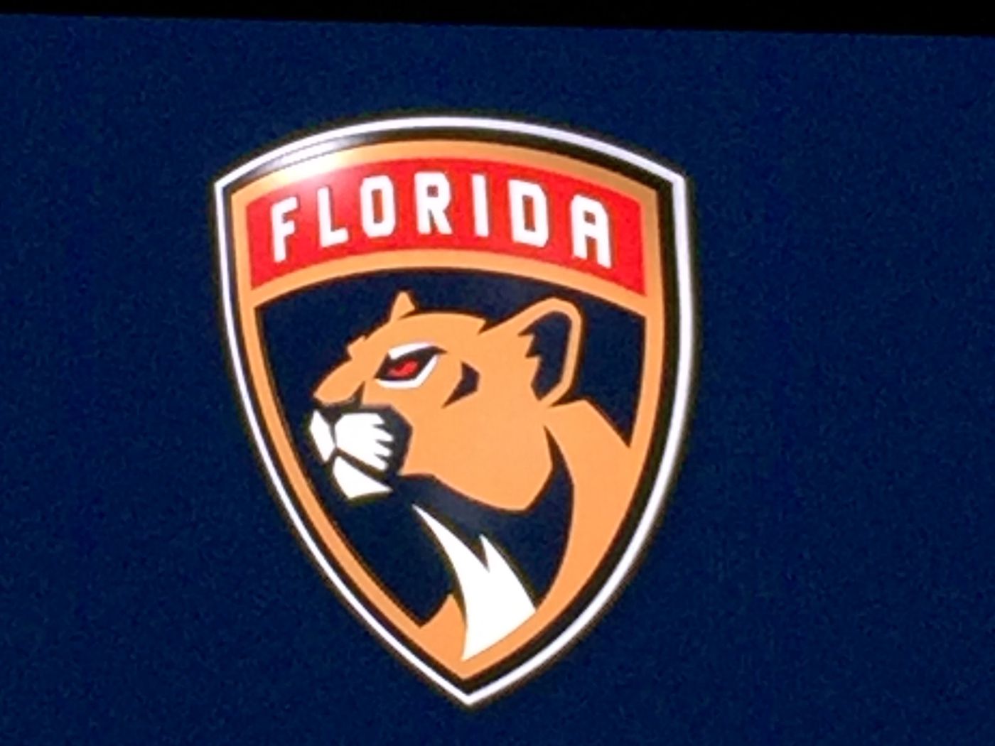 Panthers Logo Wallpapers