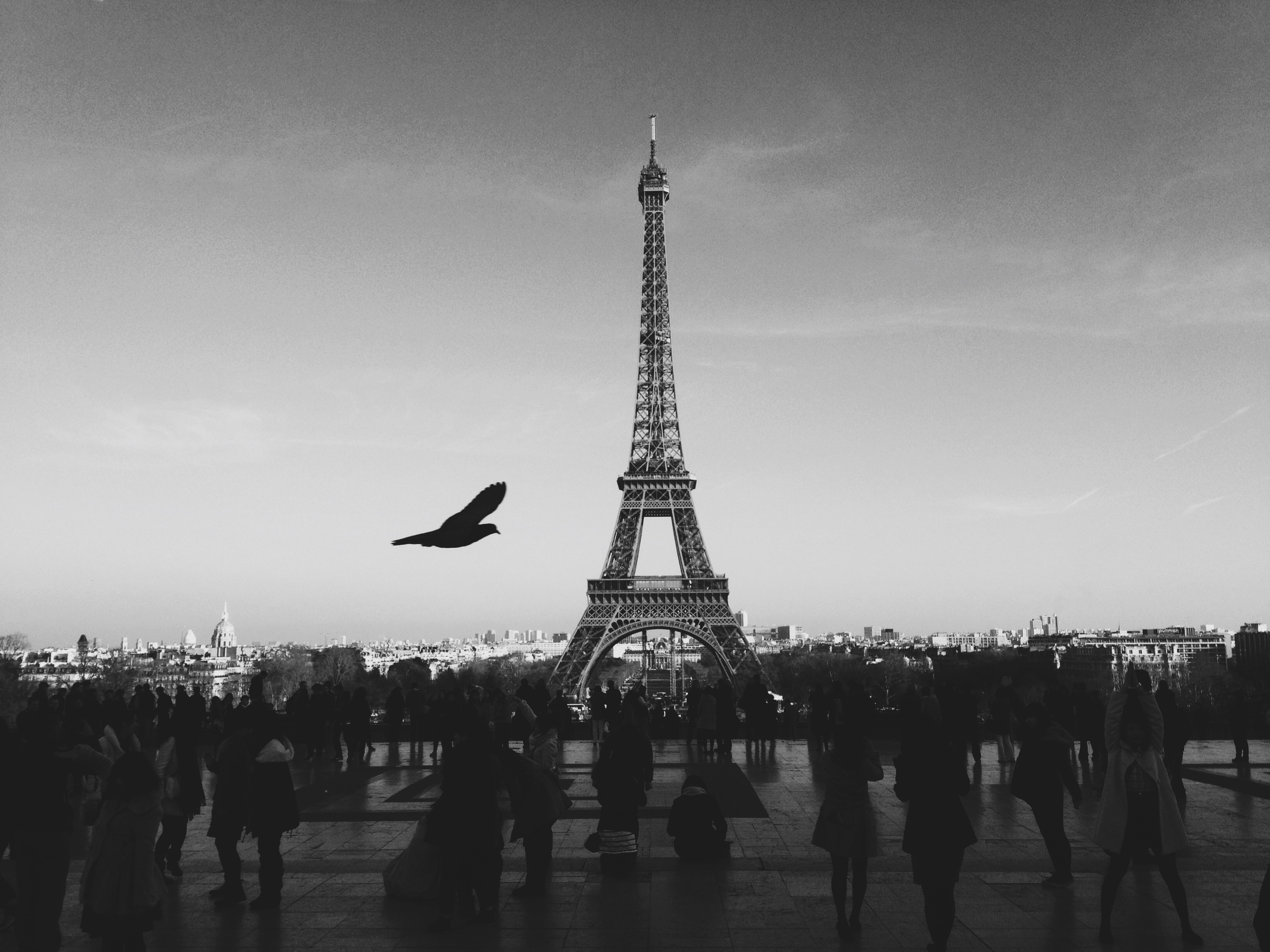 Paris Black And White Wallpapers