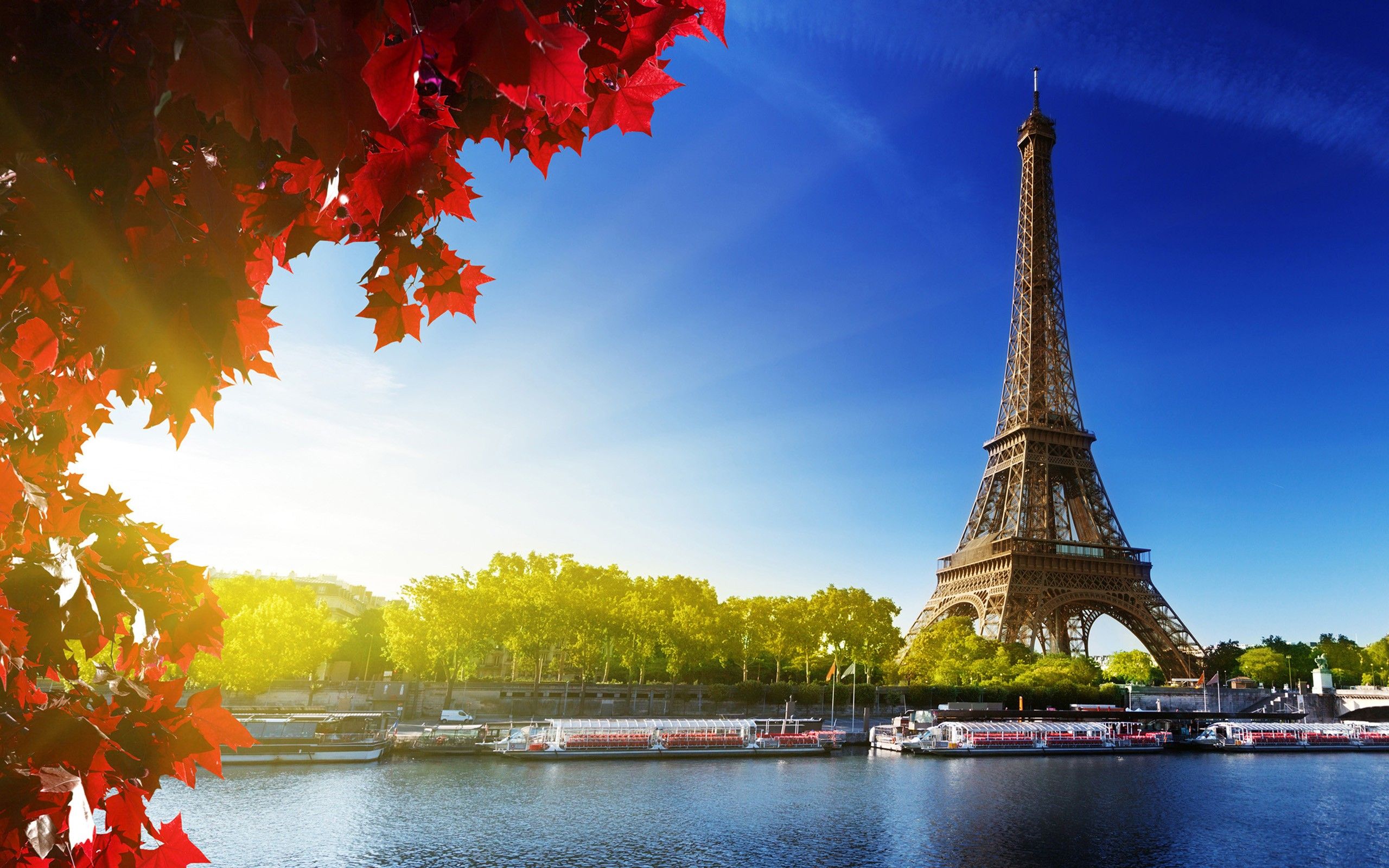 Paris Nature Wallpapers