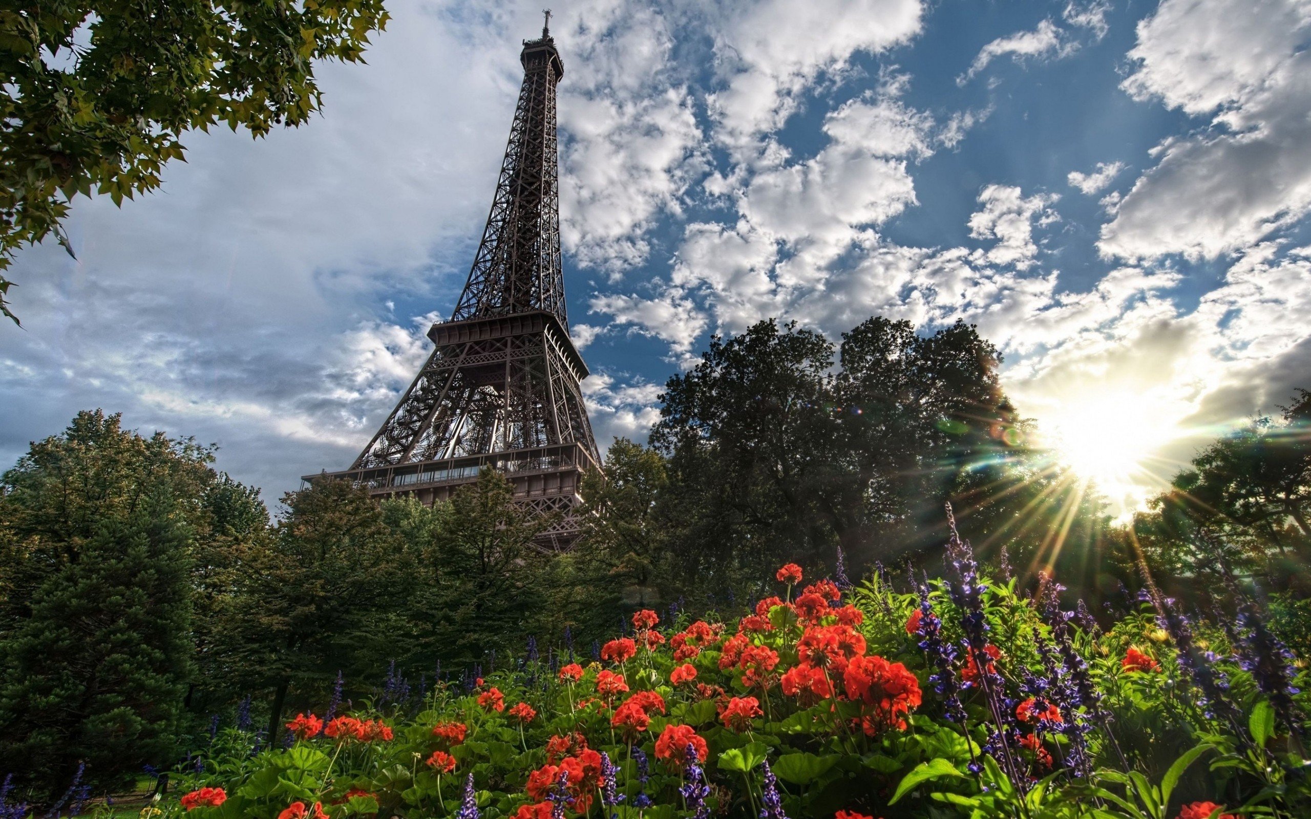 Paris Nature Wallpapers