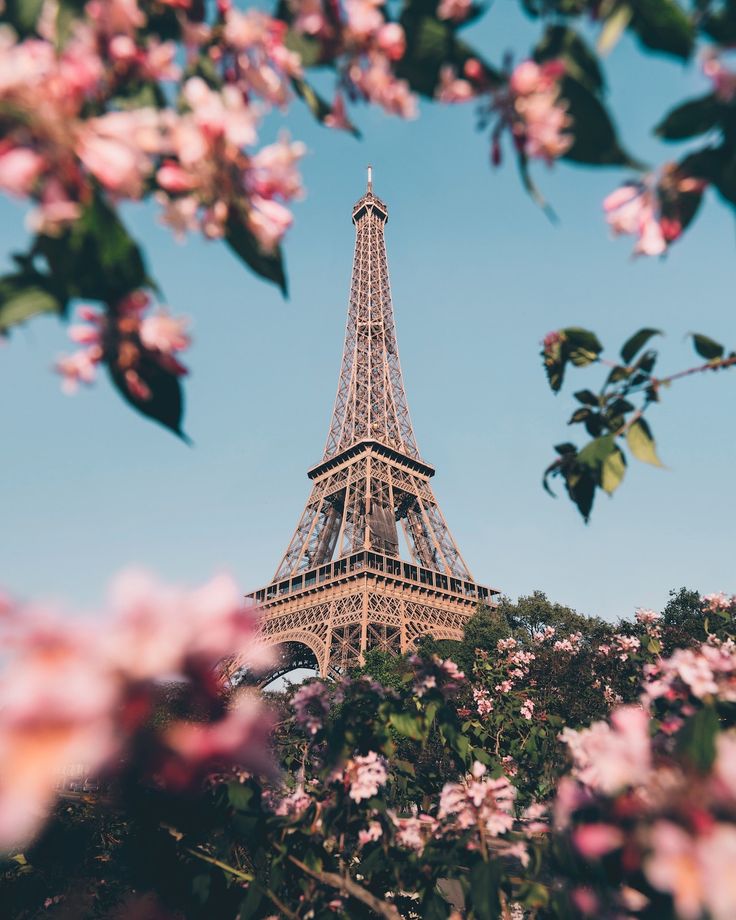 Paris Nature Wallpapers