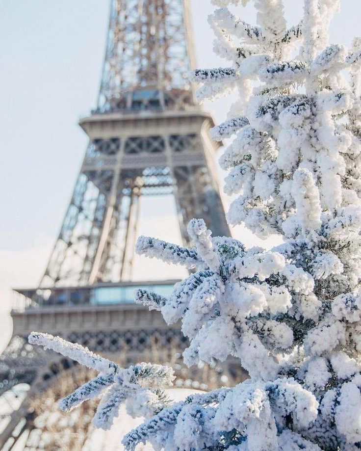 Paris Snow Wallpapers