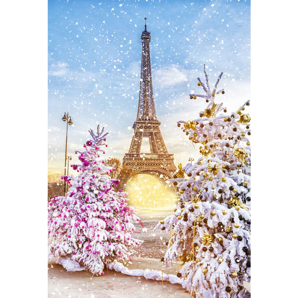 Paris Snow Wallpapers