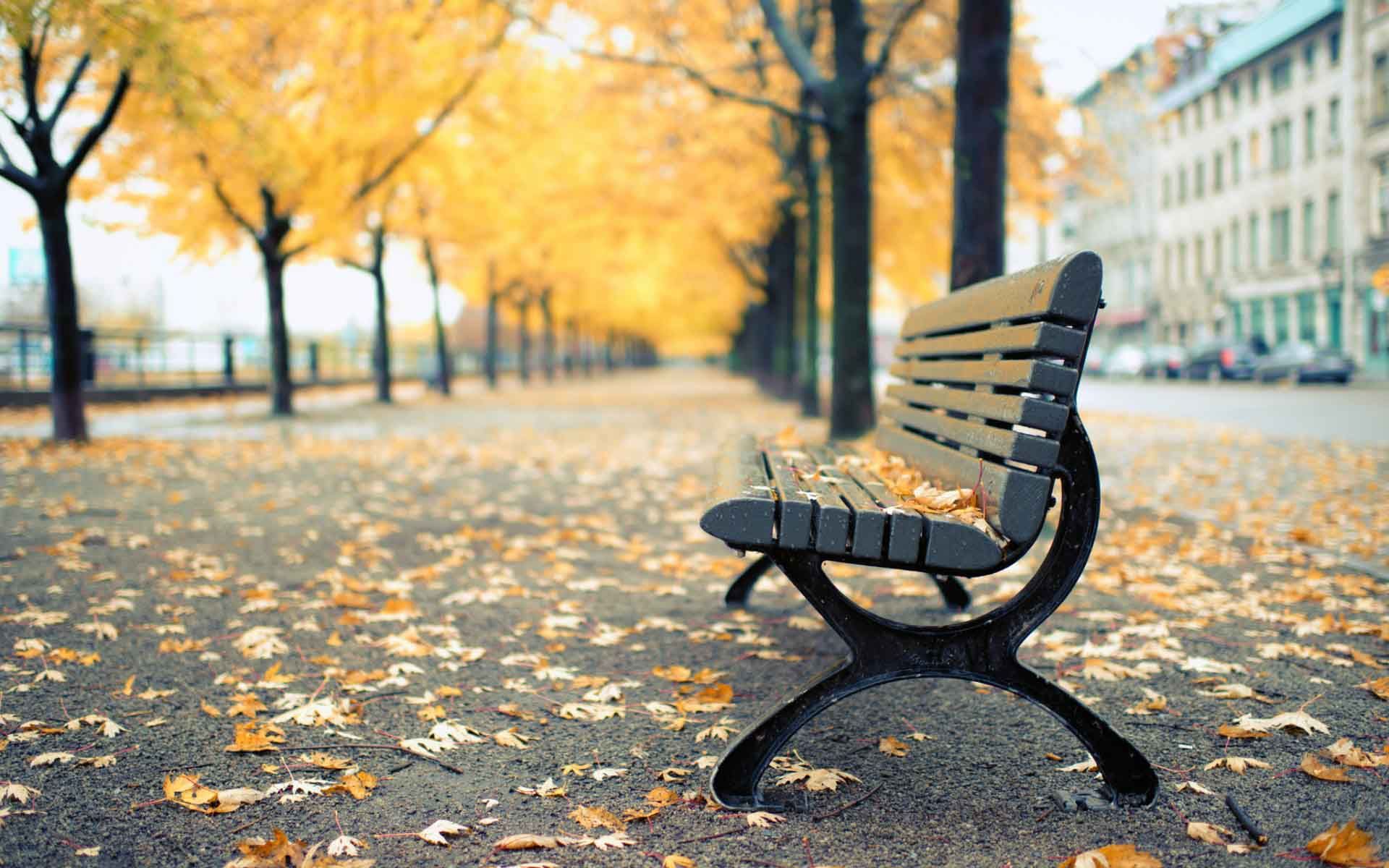 Park Bench Wallpapers