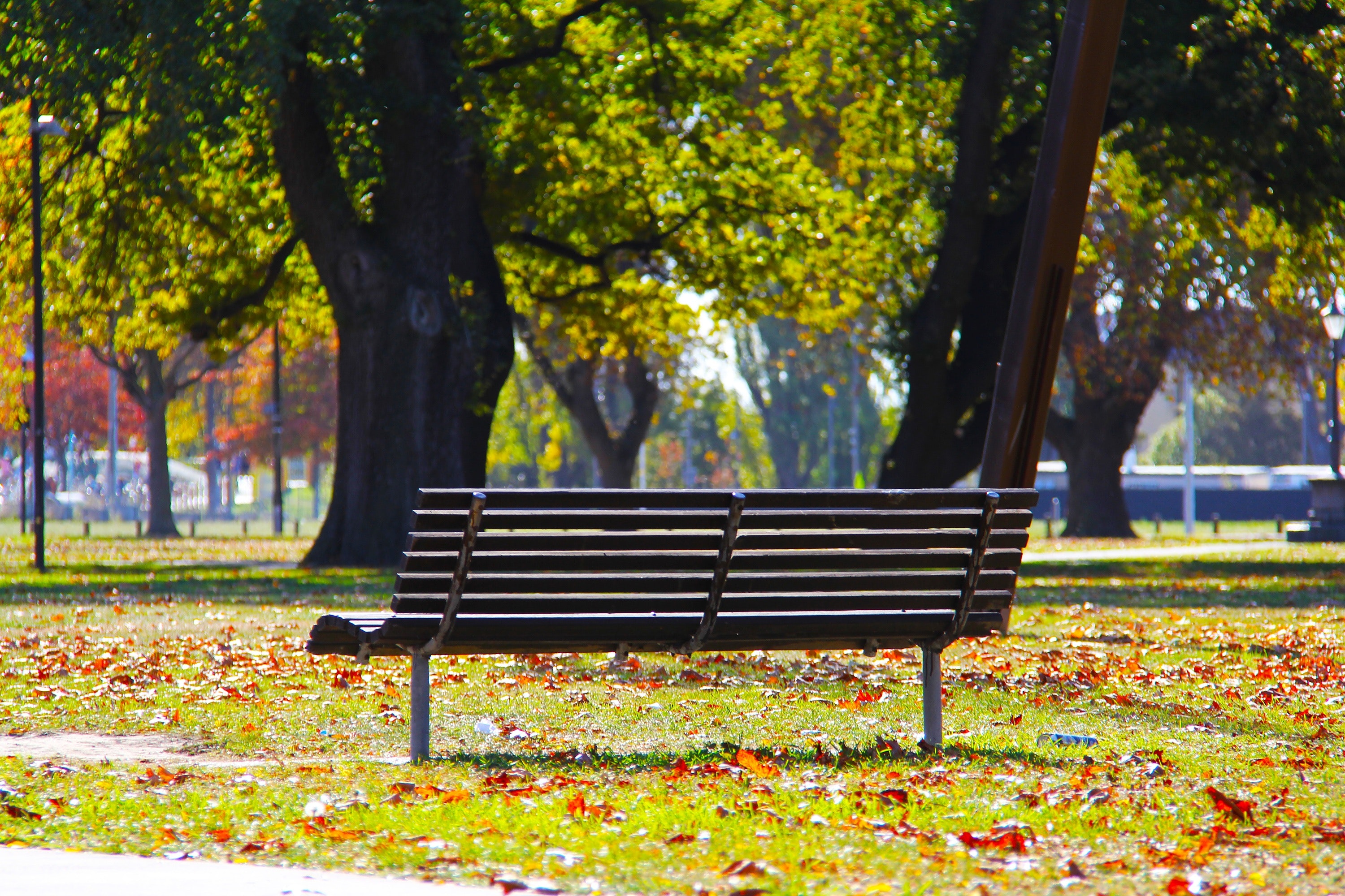 Park Bench Wallpapers