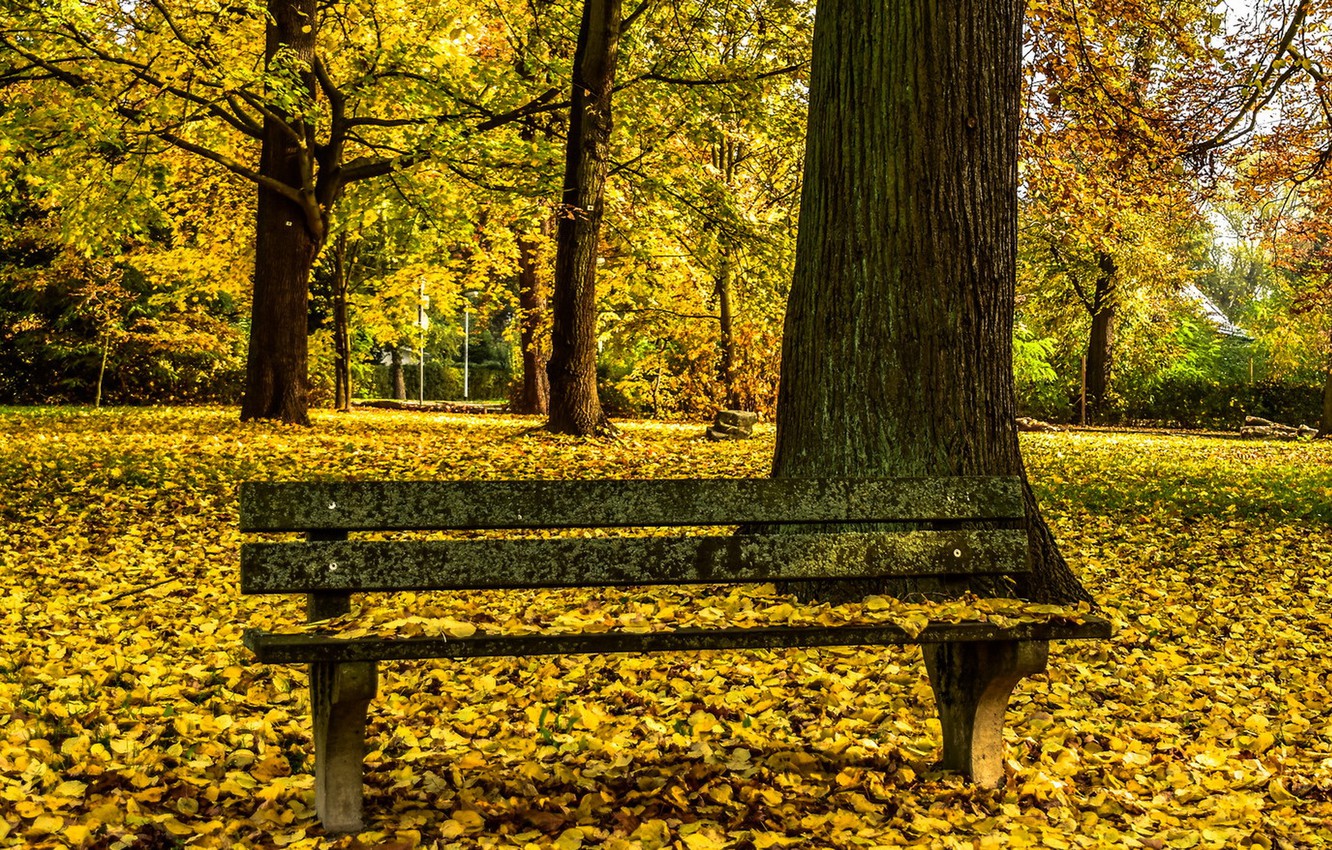 Park Bench Wallpapers