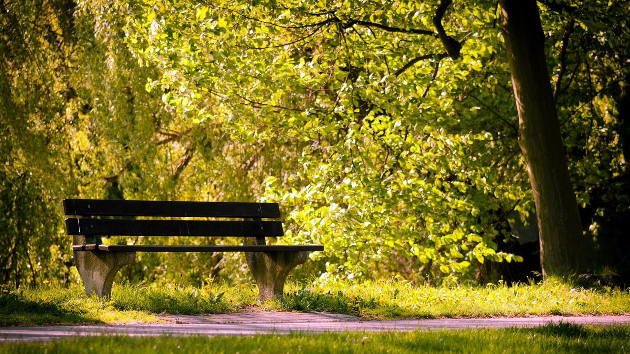 Park Bench Wallpapers