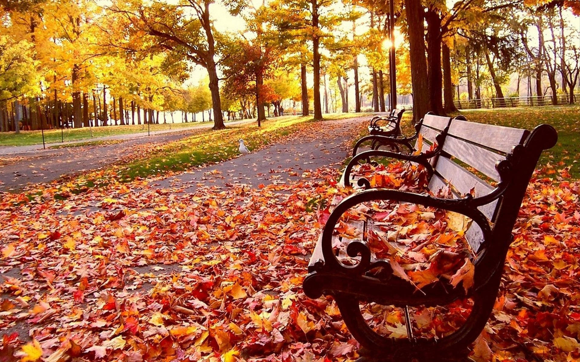 Park Bench Wallpapers