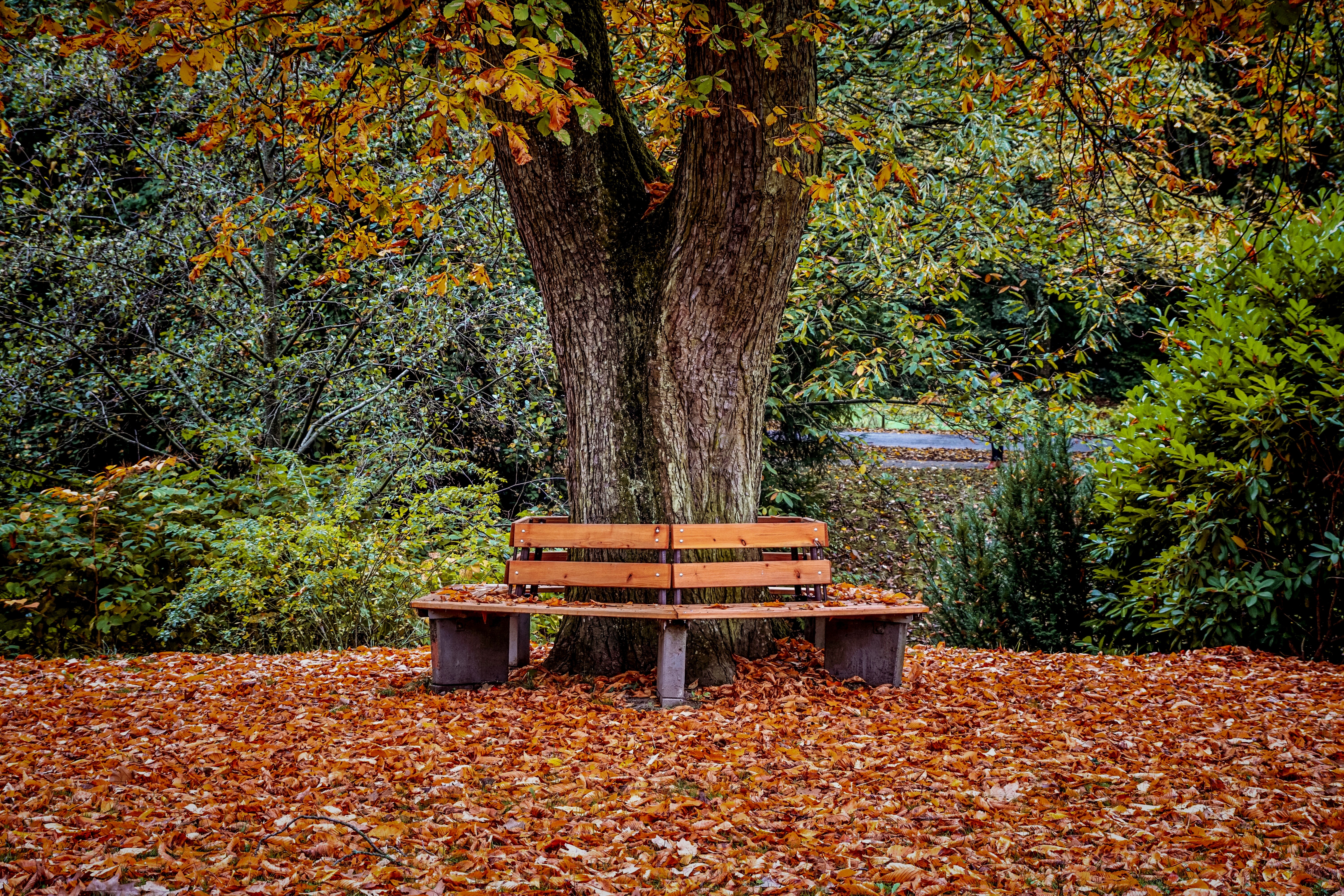 Park Bench Wallpapers