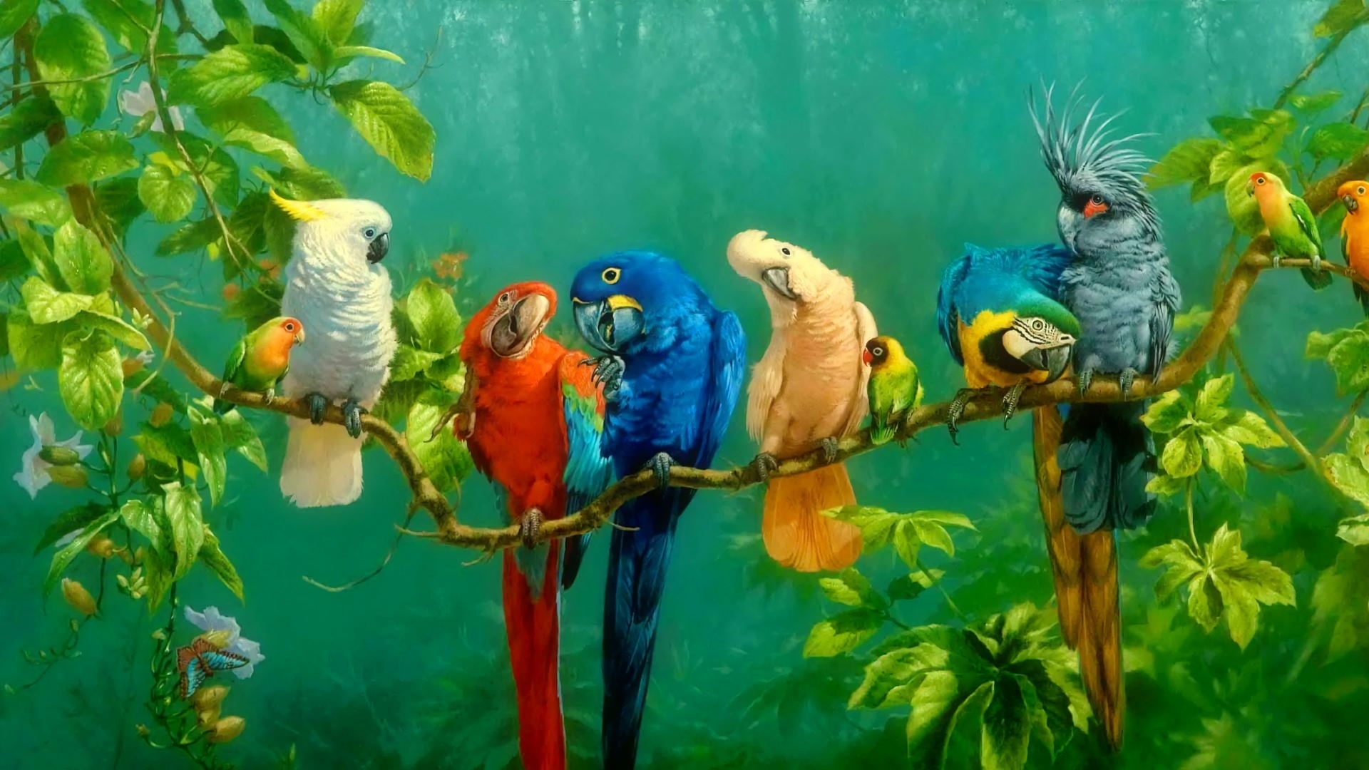 Parrot Bird Pictures Wallpapers