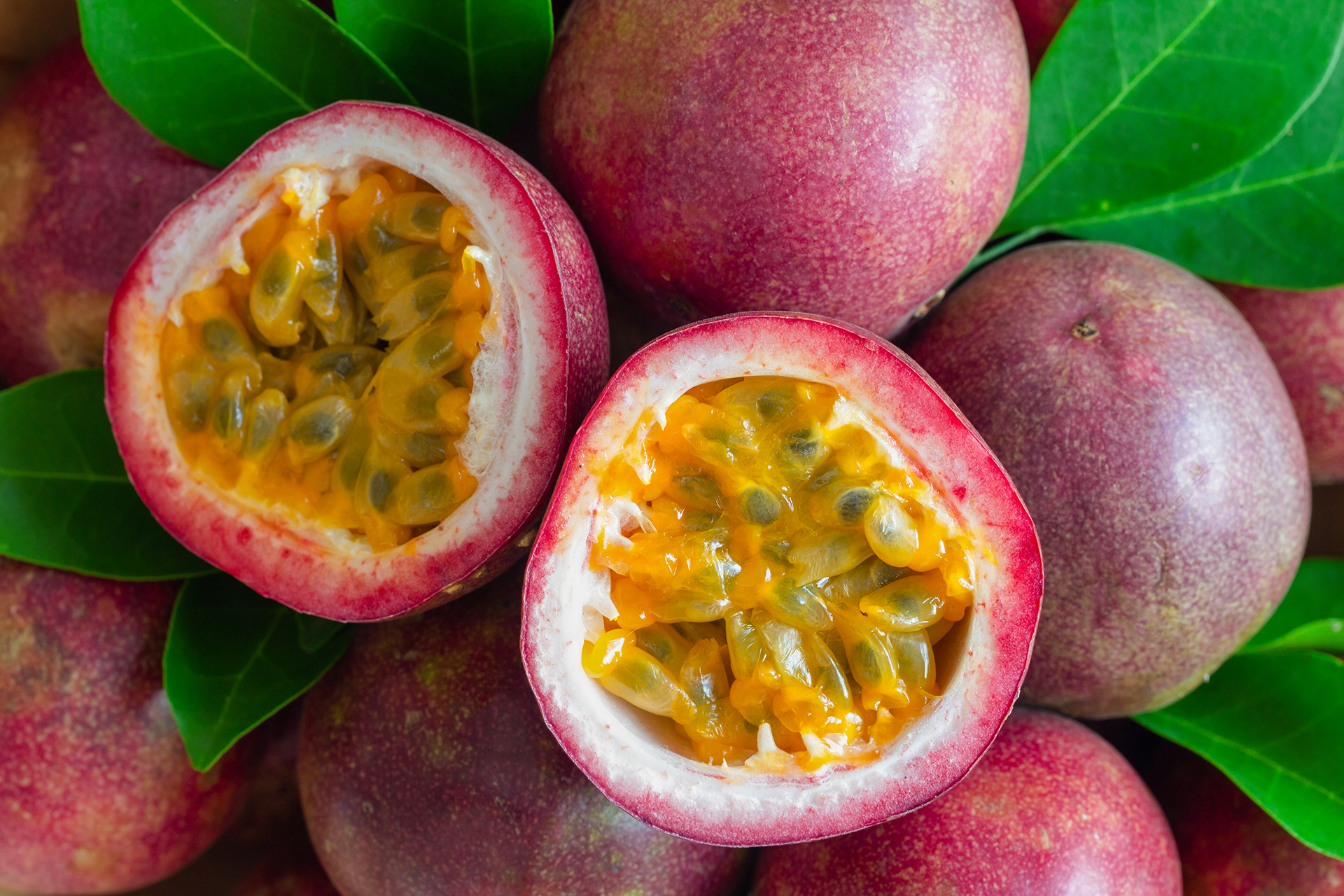 Passion Fruit Wallpapers