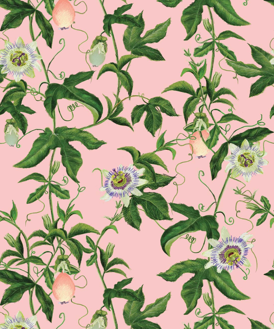 Passion Fruit Wallpapers