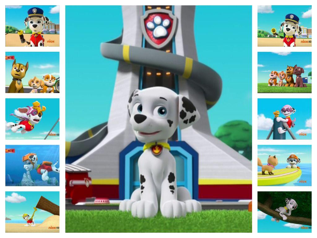 Paw Patrol Screensaver Wallpapers