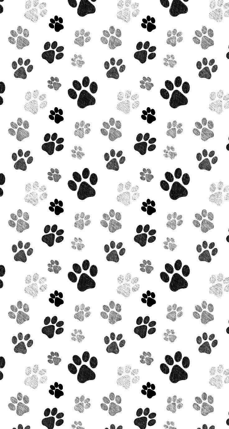 Paw Print Border Wallpapers