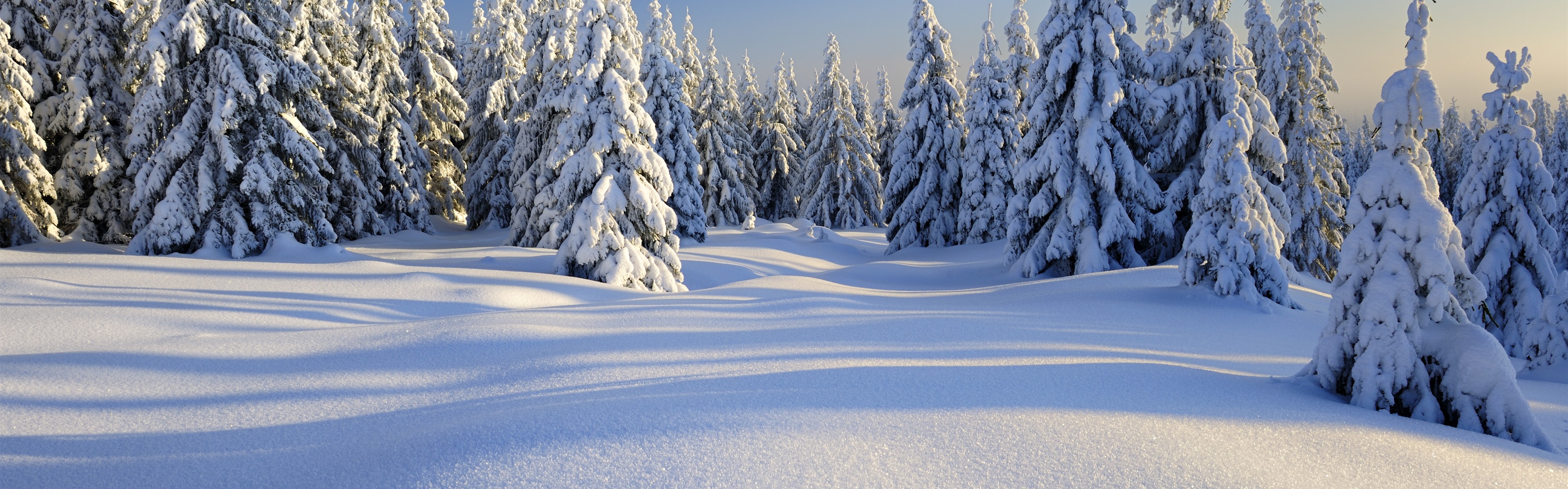 Peaceful Winter Images Wallpapers