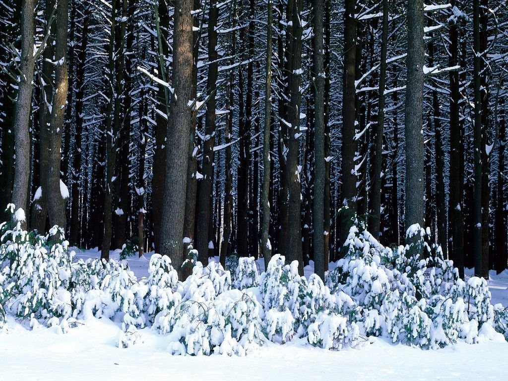 Pennsylvania Landscape Winter Wallpapers