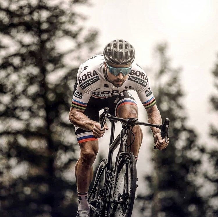 Peter Sagan Wallpapers