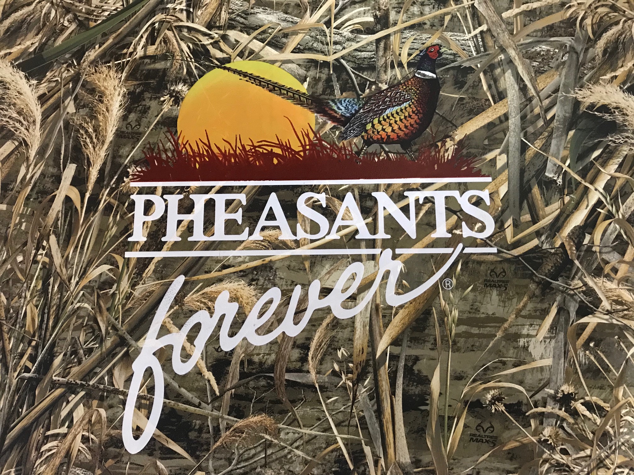 Pheasant Hunting Wallpapers