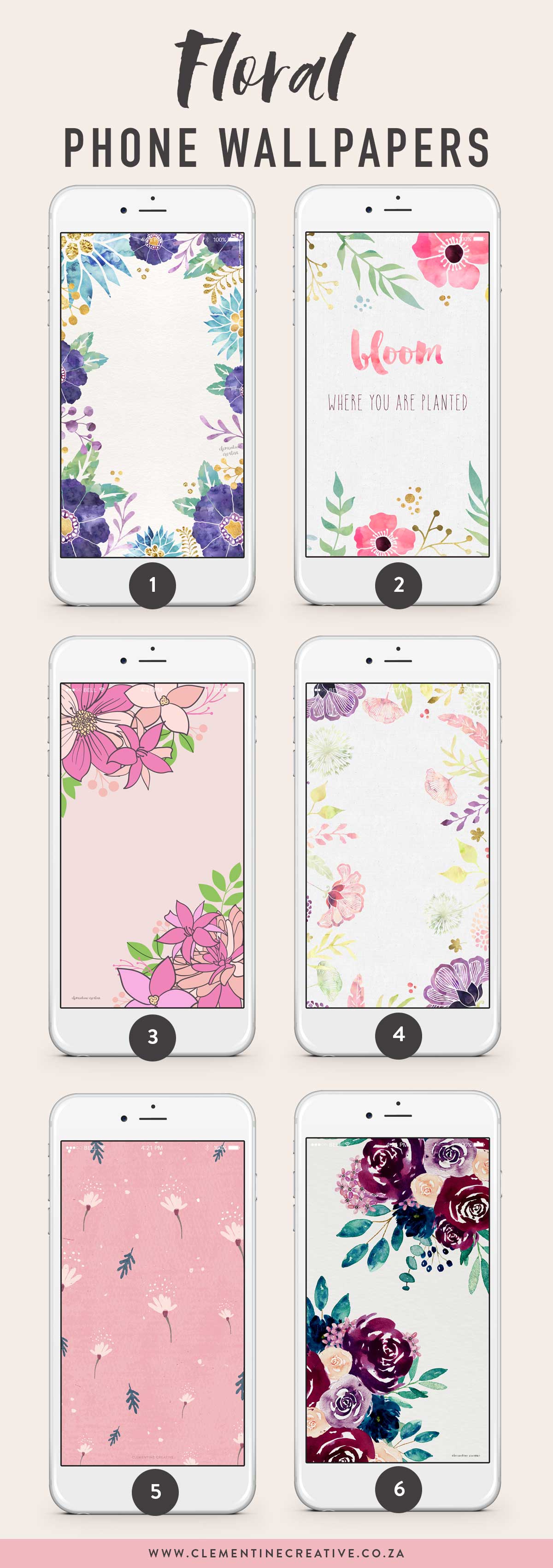 Phone Flower Wallpapers