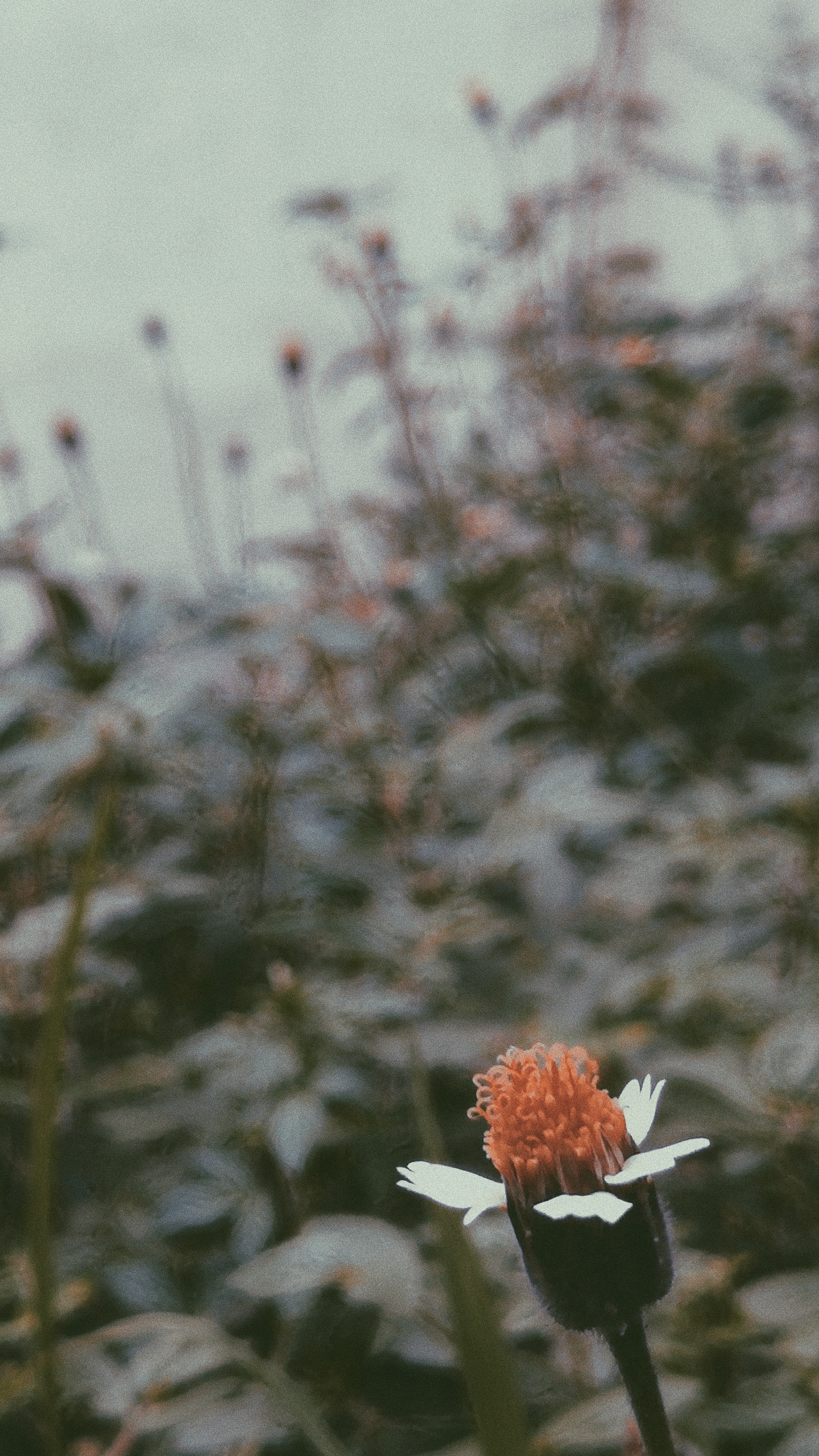 Photography Tumblr Hipster Wallpapers