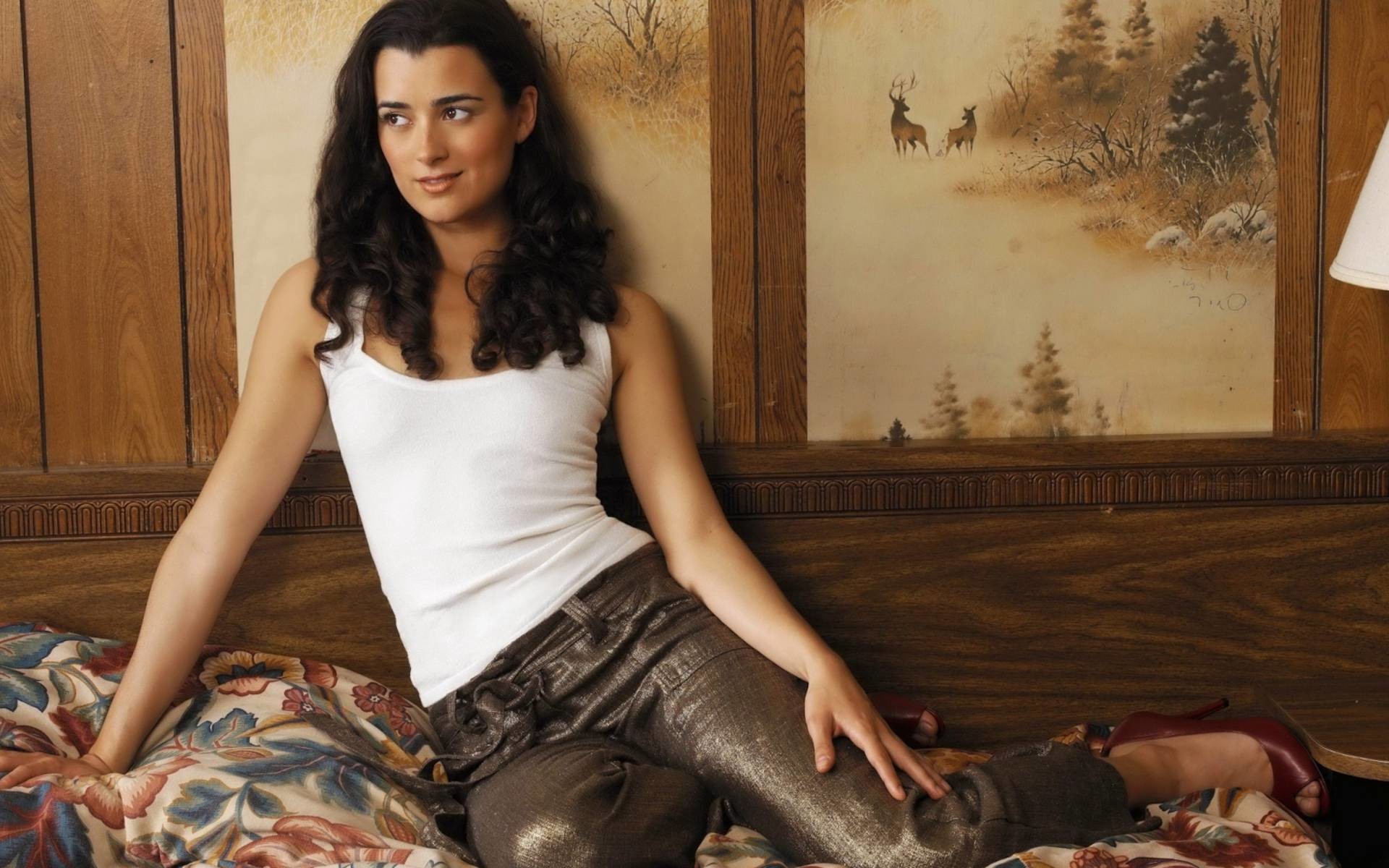 Pictures Of Ziva From Ncis Wallpapers