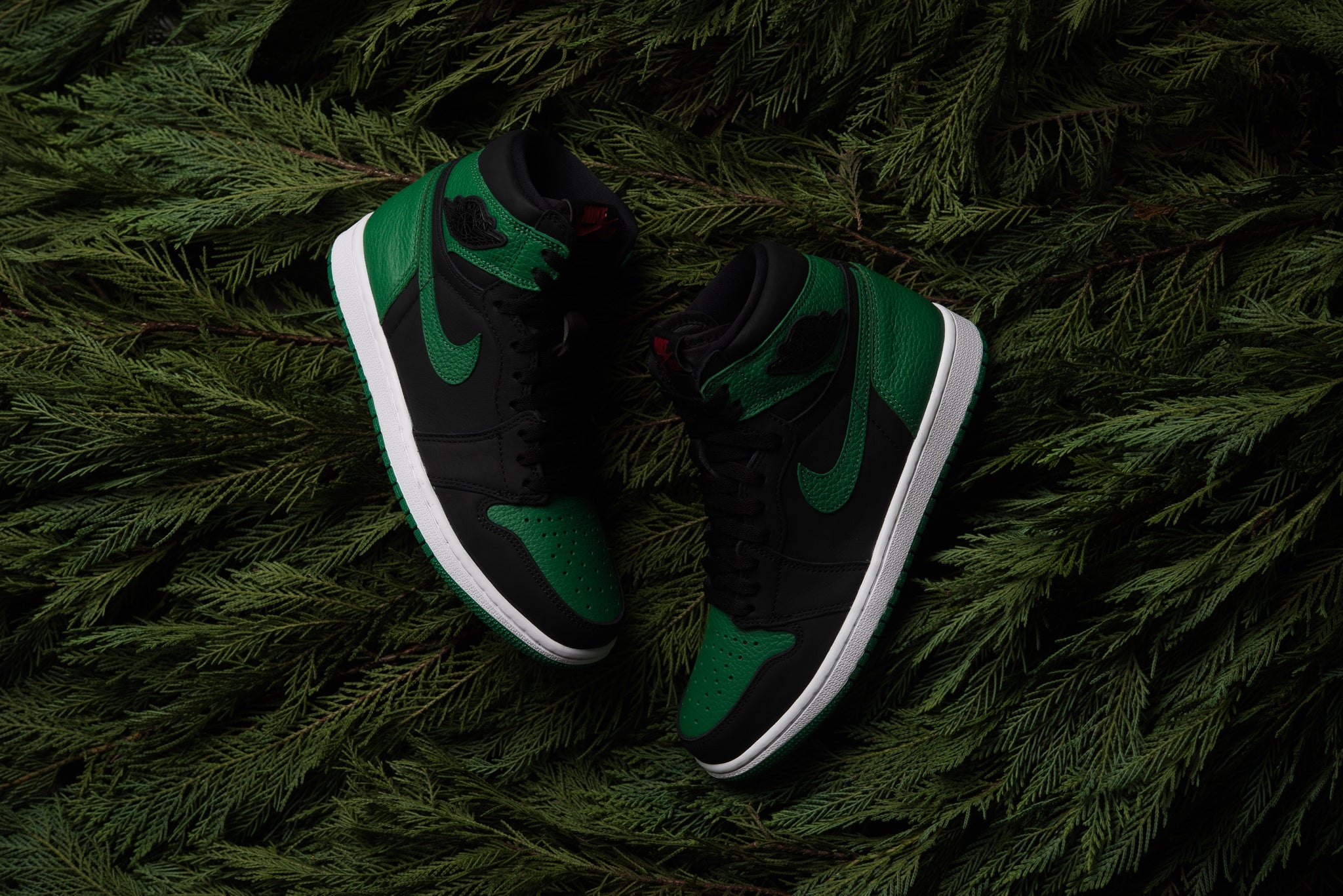 Pine Green Jordan 1 Wallpapers