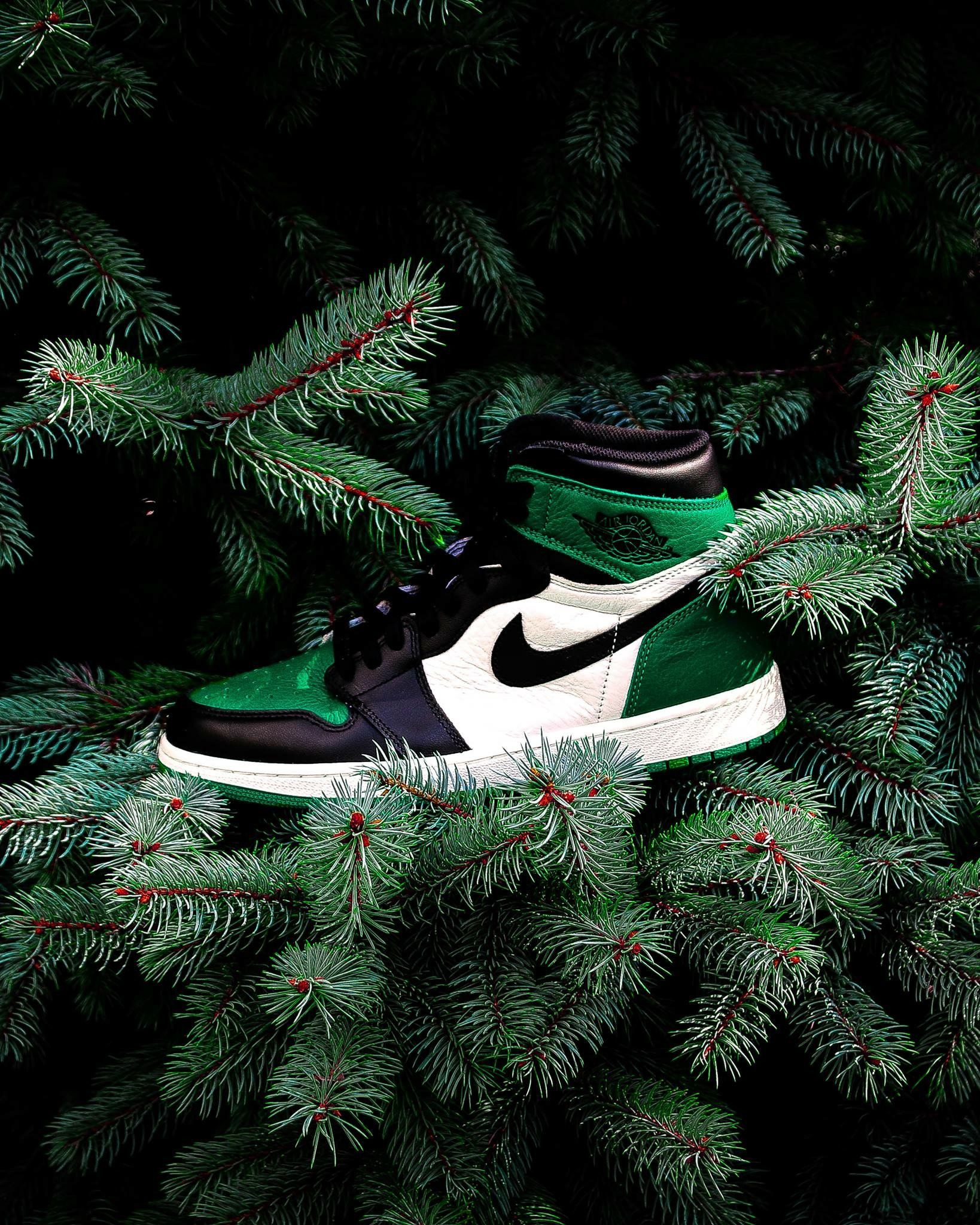 Pine Green Jordan 1 Wallpapers