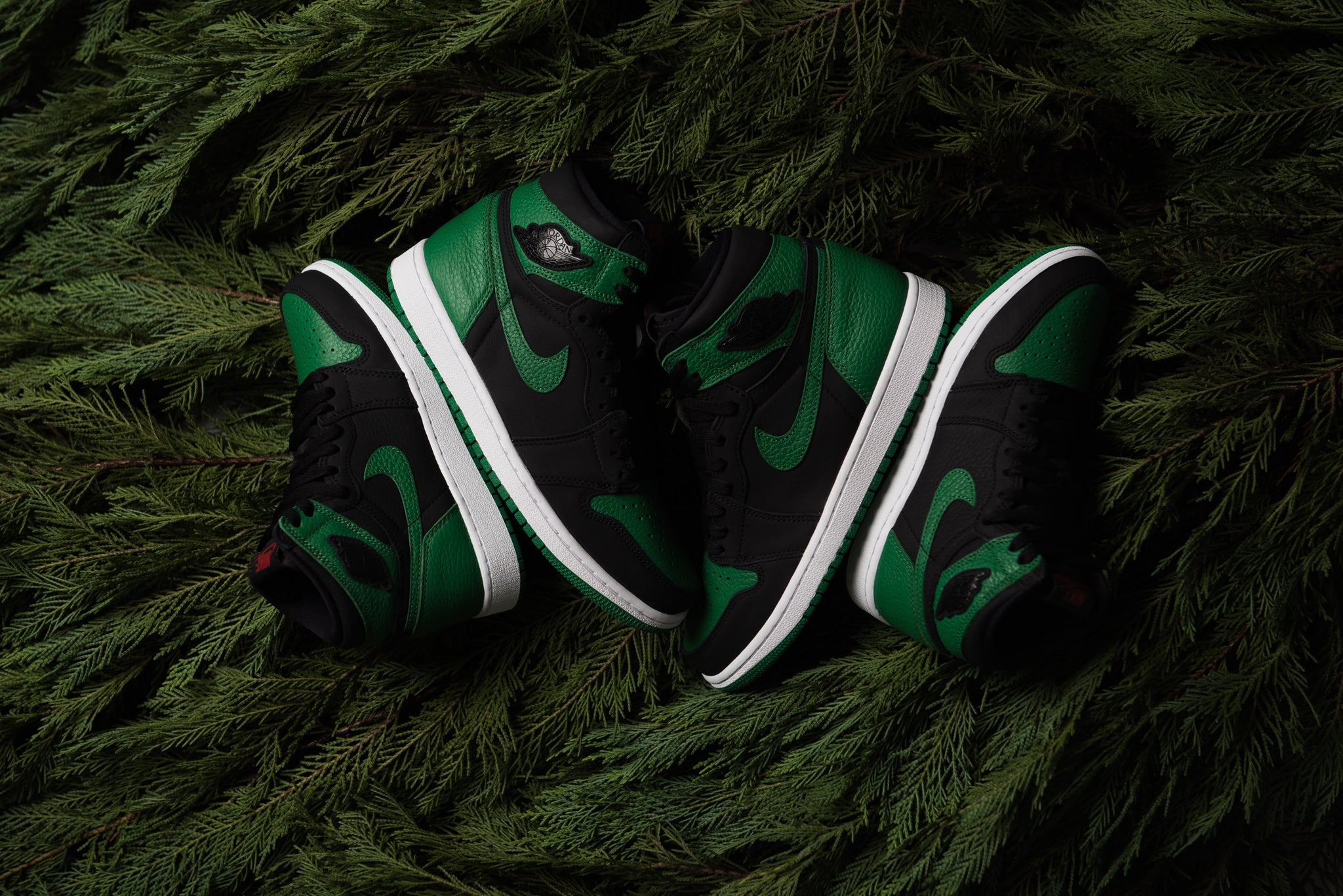 Pine Green Jordan 1 Wallpapers