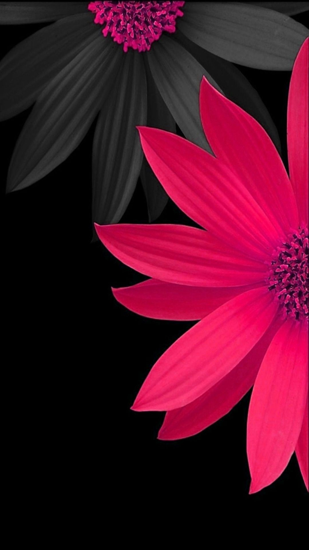 Pink And Black Iphone Wallpapers
