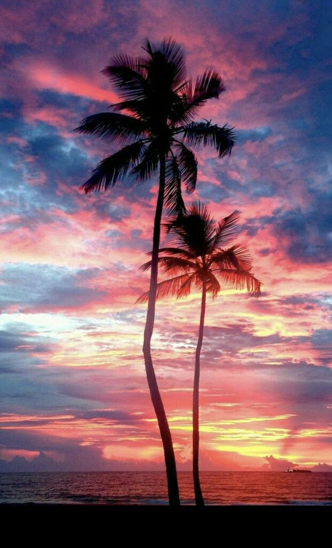 Pink And Blue Sunset Wallpapers