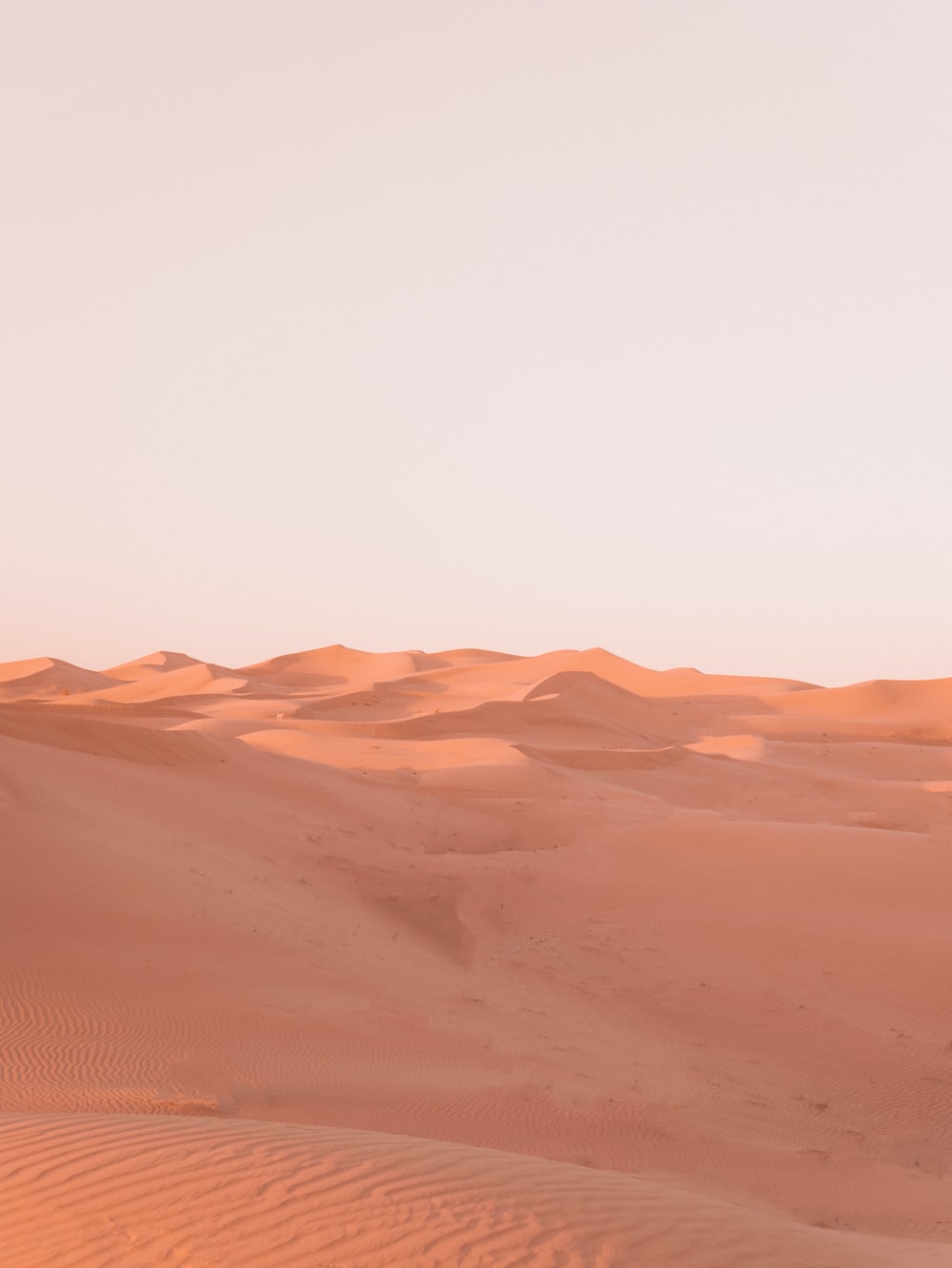 Pink Desert Wallpapers