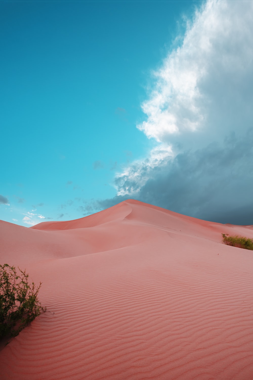 Pink Desert Wallpapers