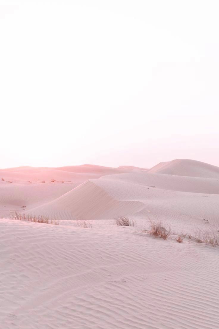 Pink Desert Wallpapers