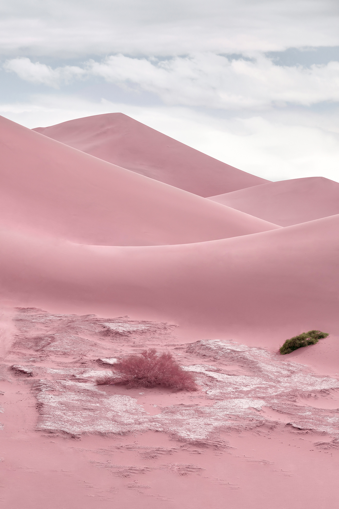 Pink Desert Wallpapers