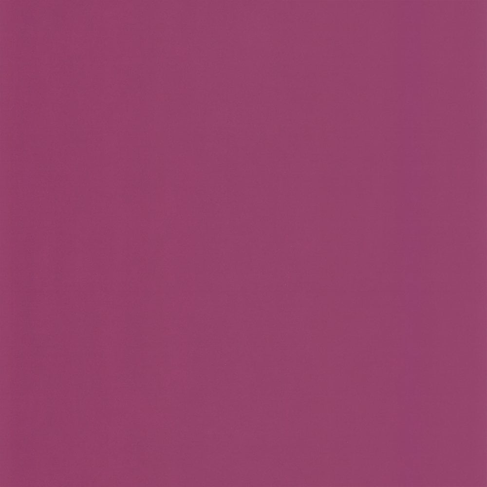 Pink Plain Wallpapers