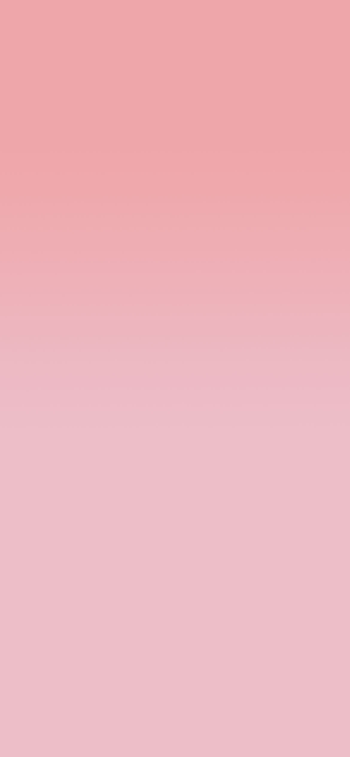 Pink Plain Wallpapers