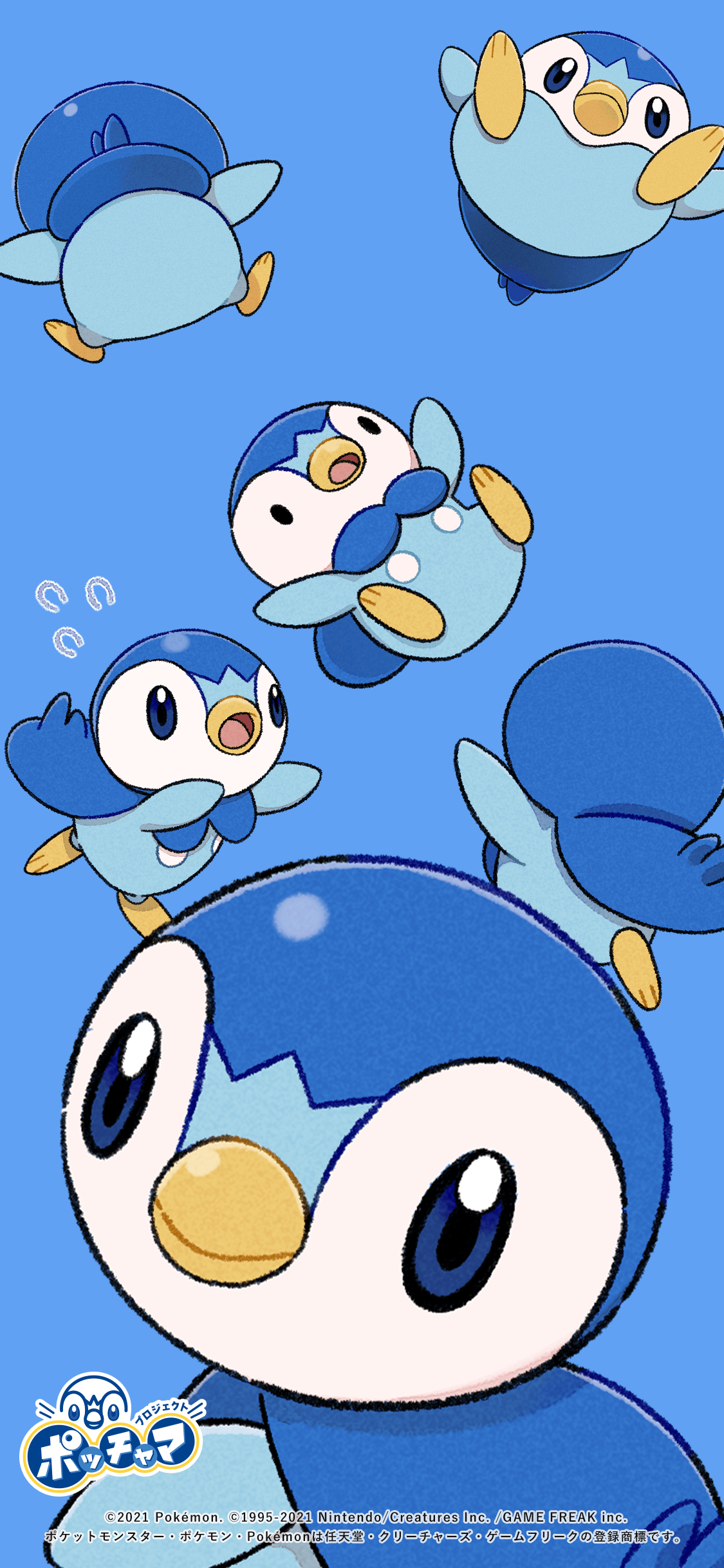 Piplup Wallpapers