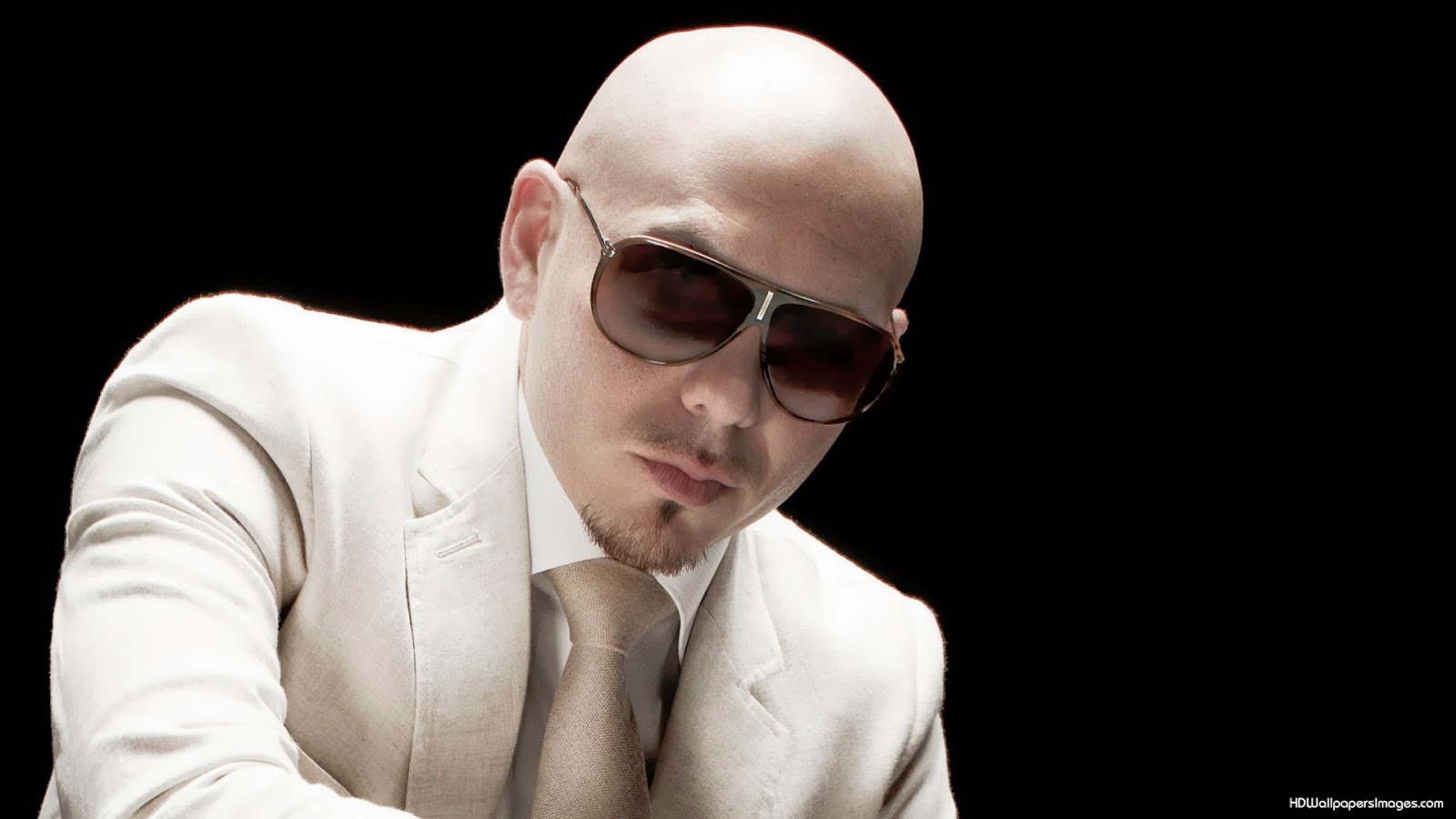 Pitbull Singer Wallpapers