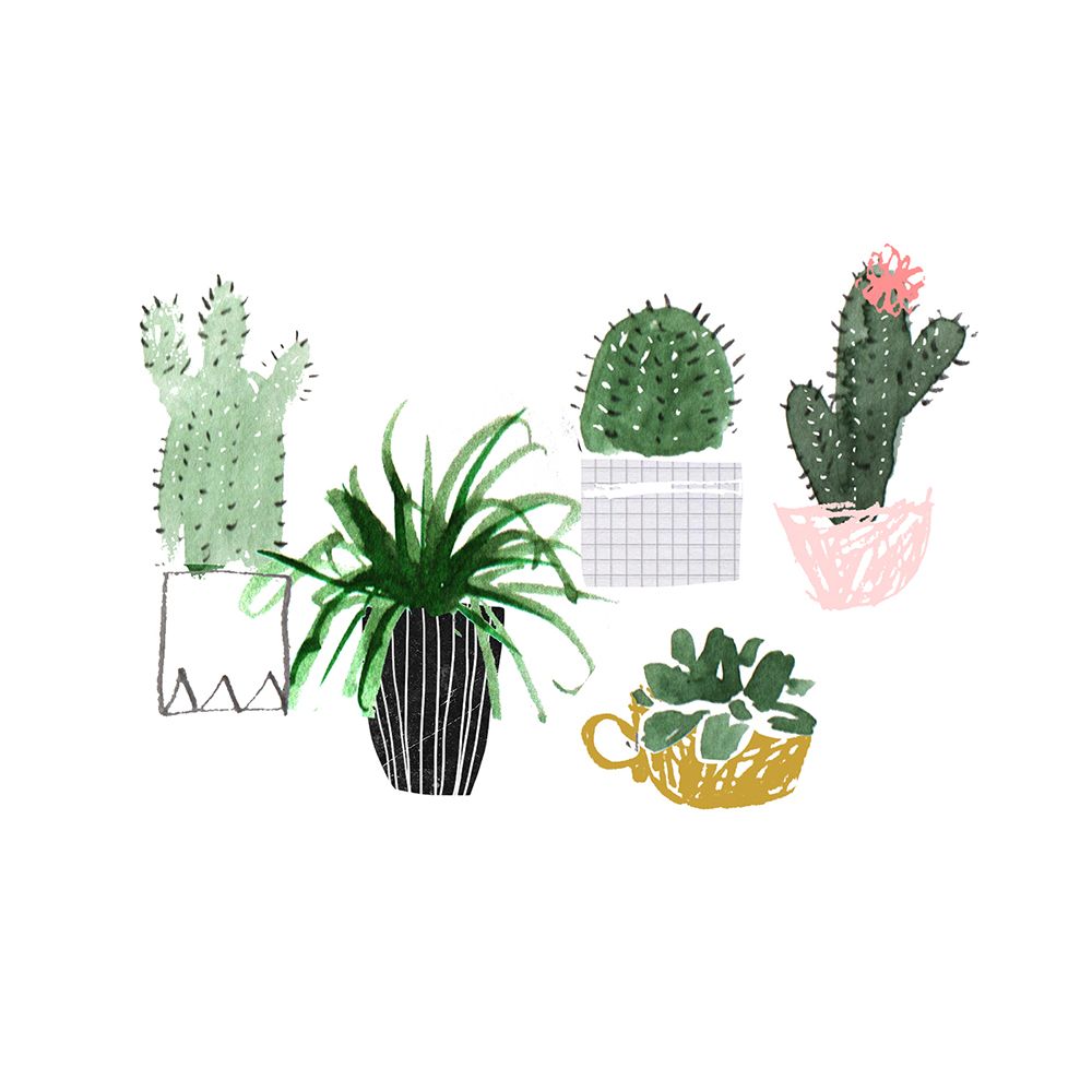 Plant Aesthetic Laptop Wallpapers