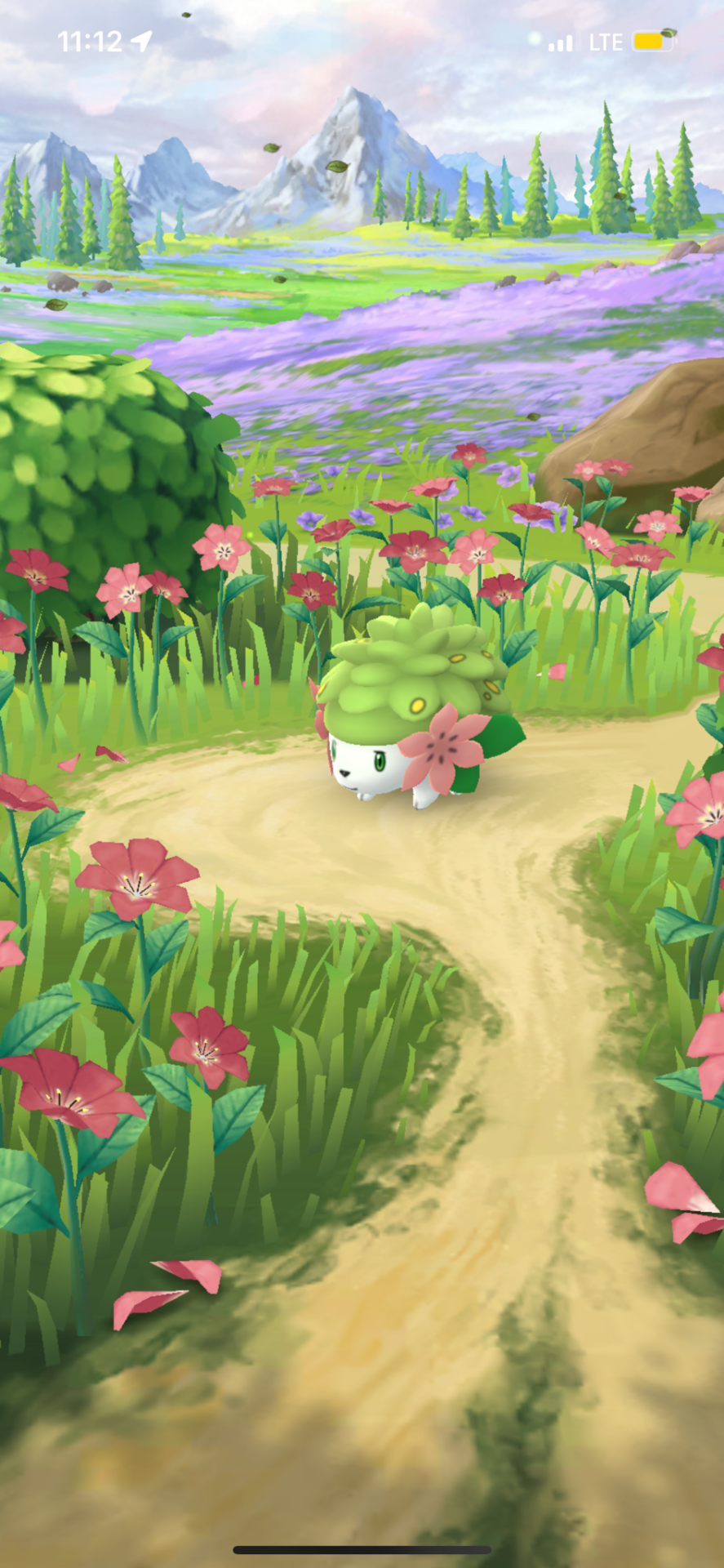 Pokemon Shaymin Wallpapers