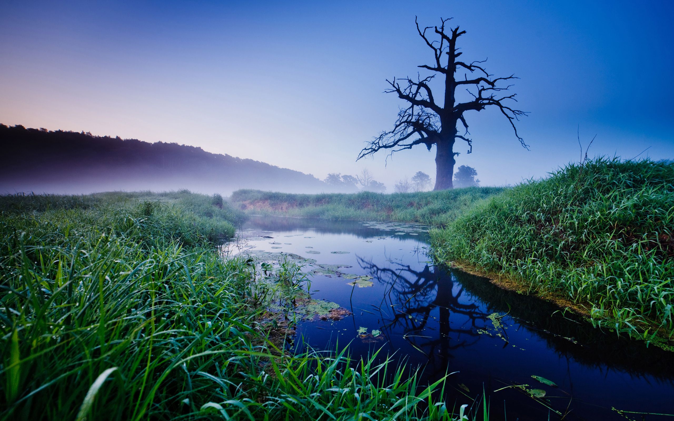 Poland Nature Wallpapers