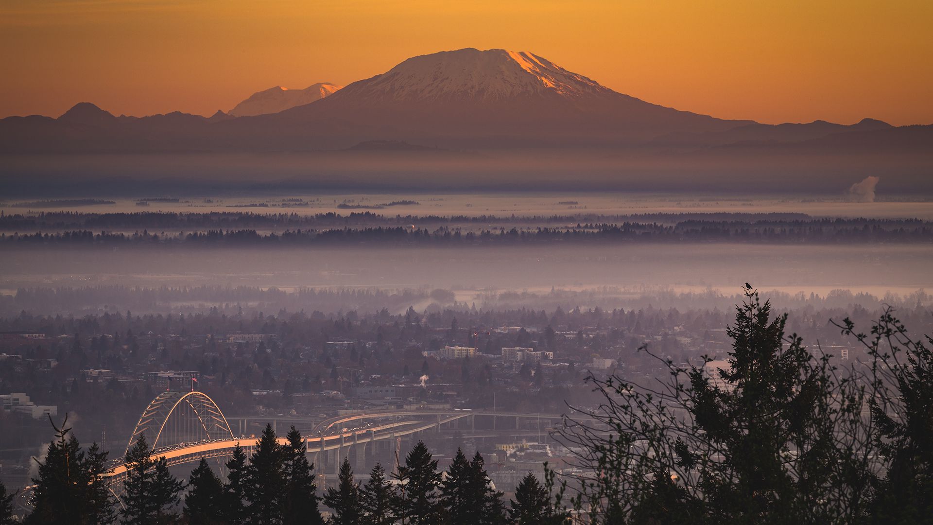 Portland 1920X1080 Wallpapers