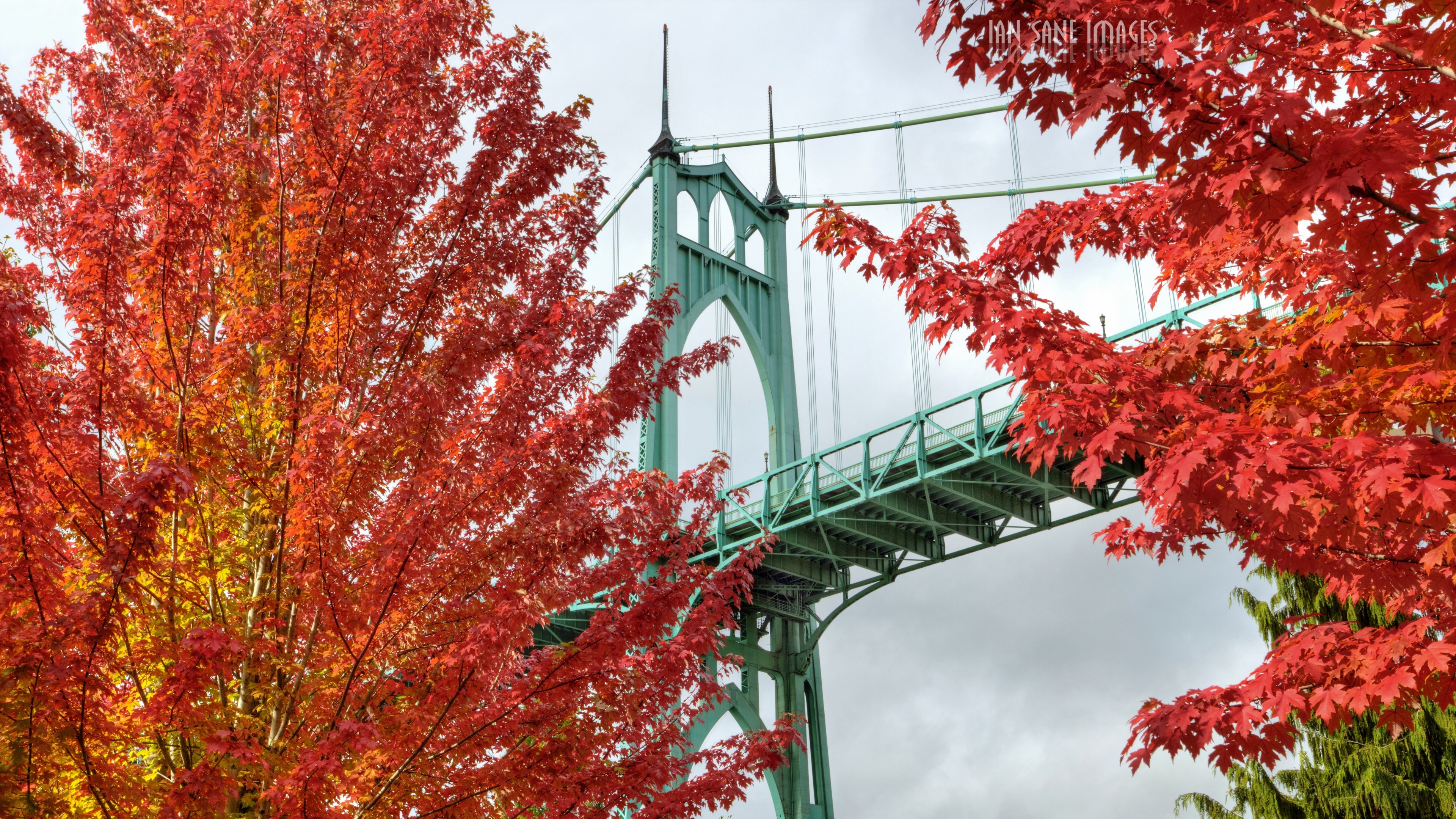 Portland 1920X1080 Wallpapers