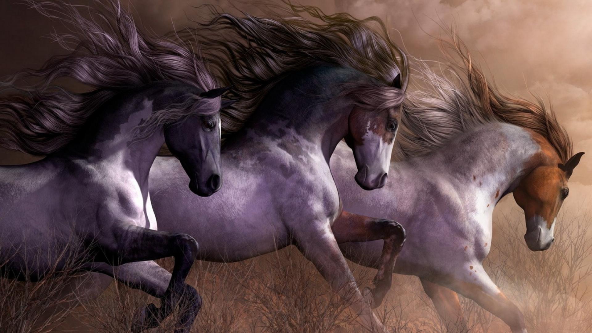 Pretty Horse Drawings Wallpapers